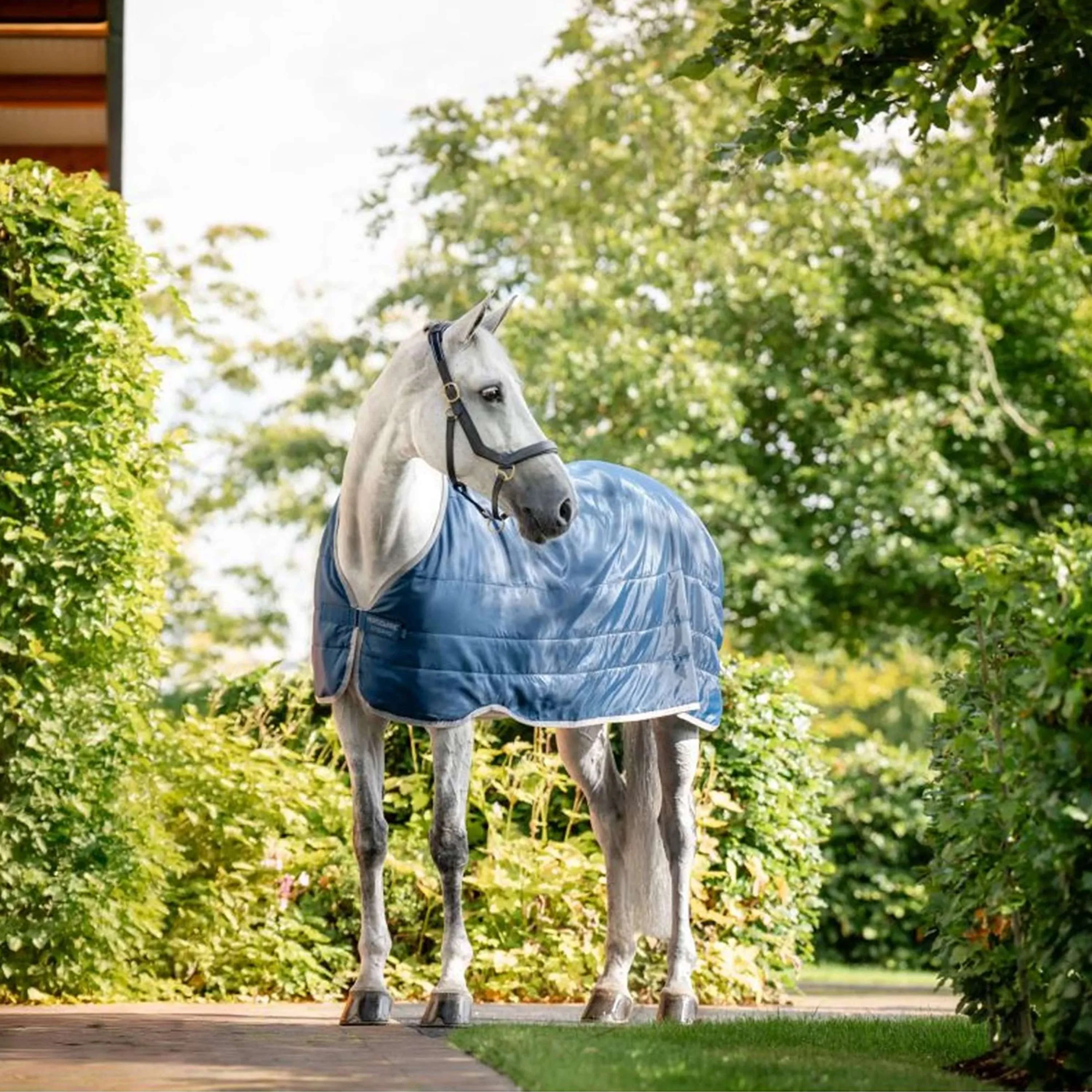 Horseware Ionic Therapy Liner 200g Imperial Blue/Silver/Navy