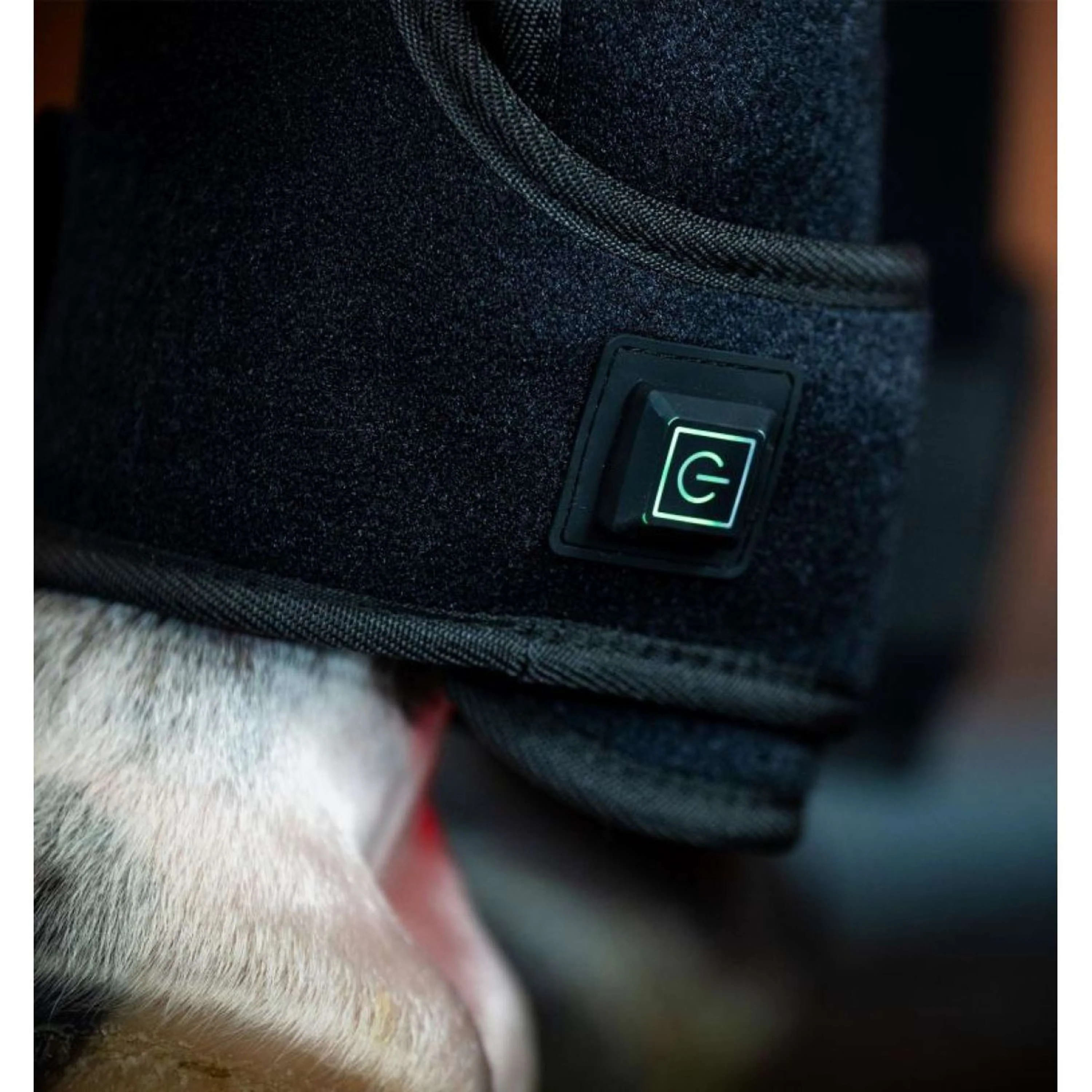 Horseware LED Red Light Therapy Right Leg Wrap Noir - Image 2