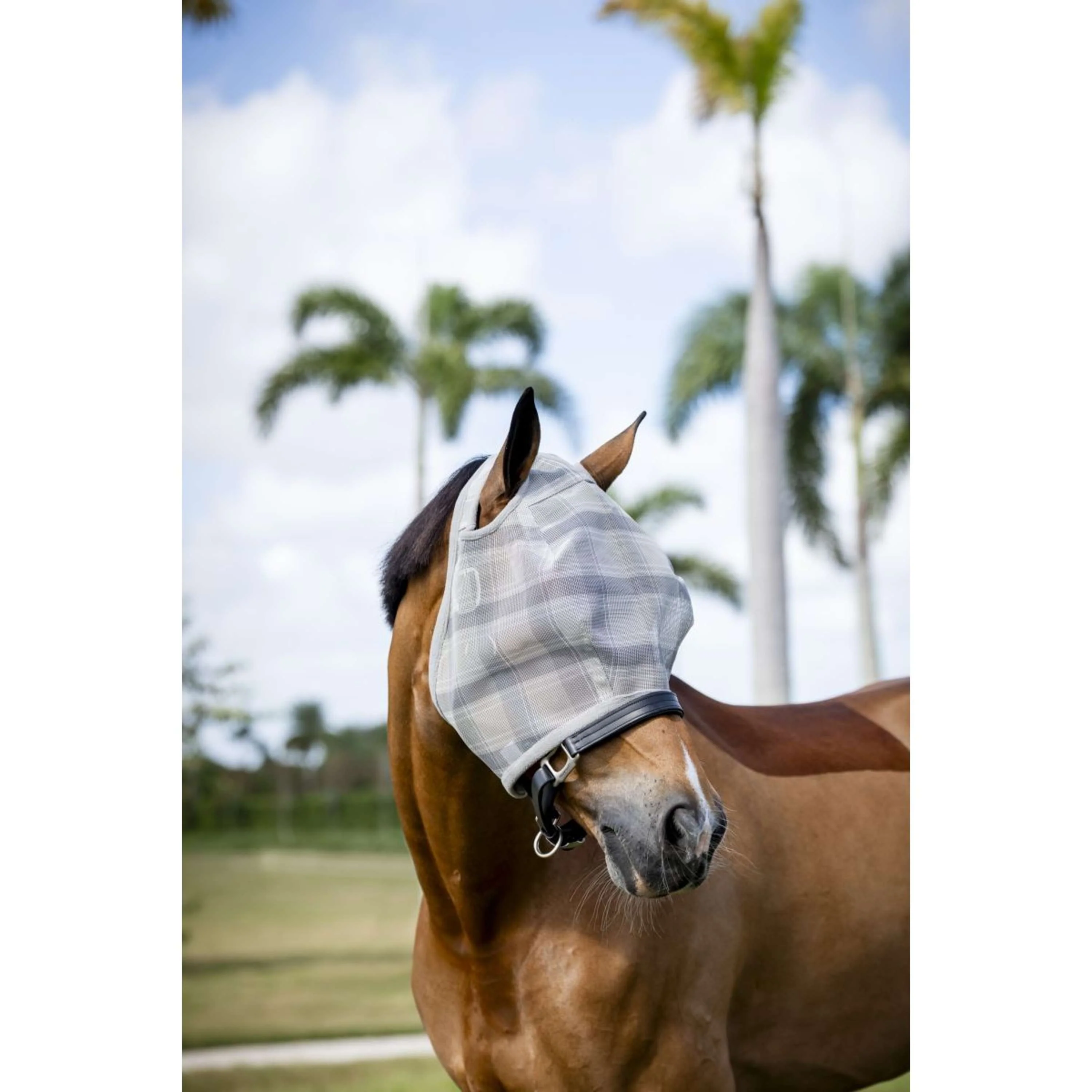 Horseware Masque Anti-Mouches Newmarket sans Oreilles Witney Charcoal - Image 2