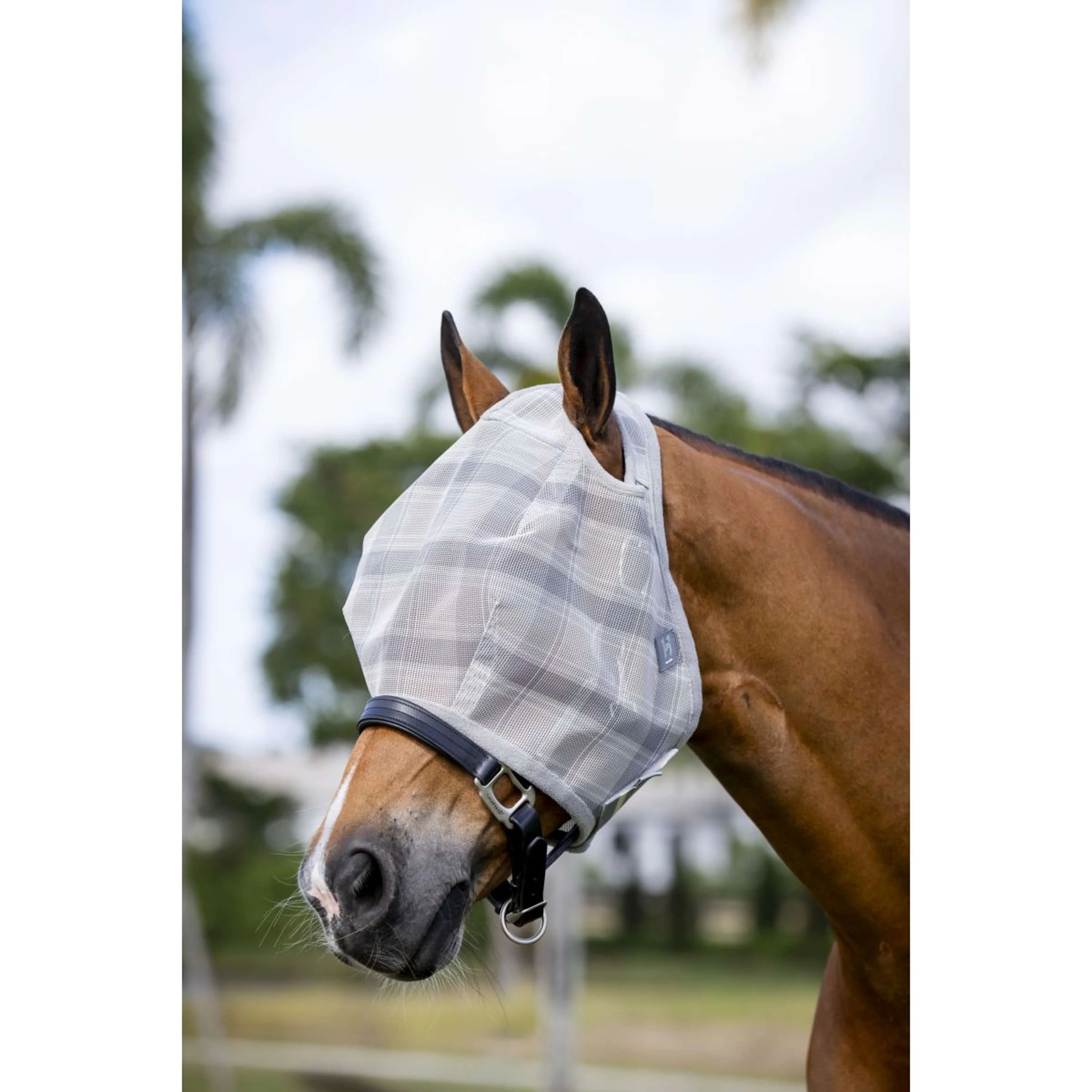Horseware Masque Anti-Mouches Newmarket sans Oreilles Witney Charcoal - Image 3