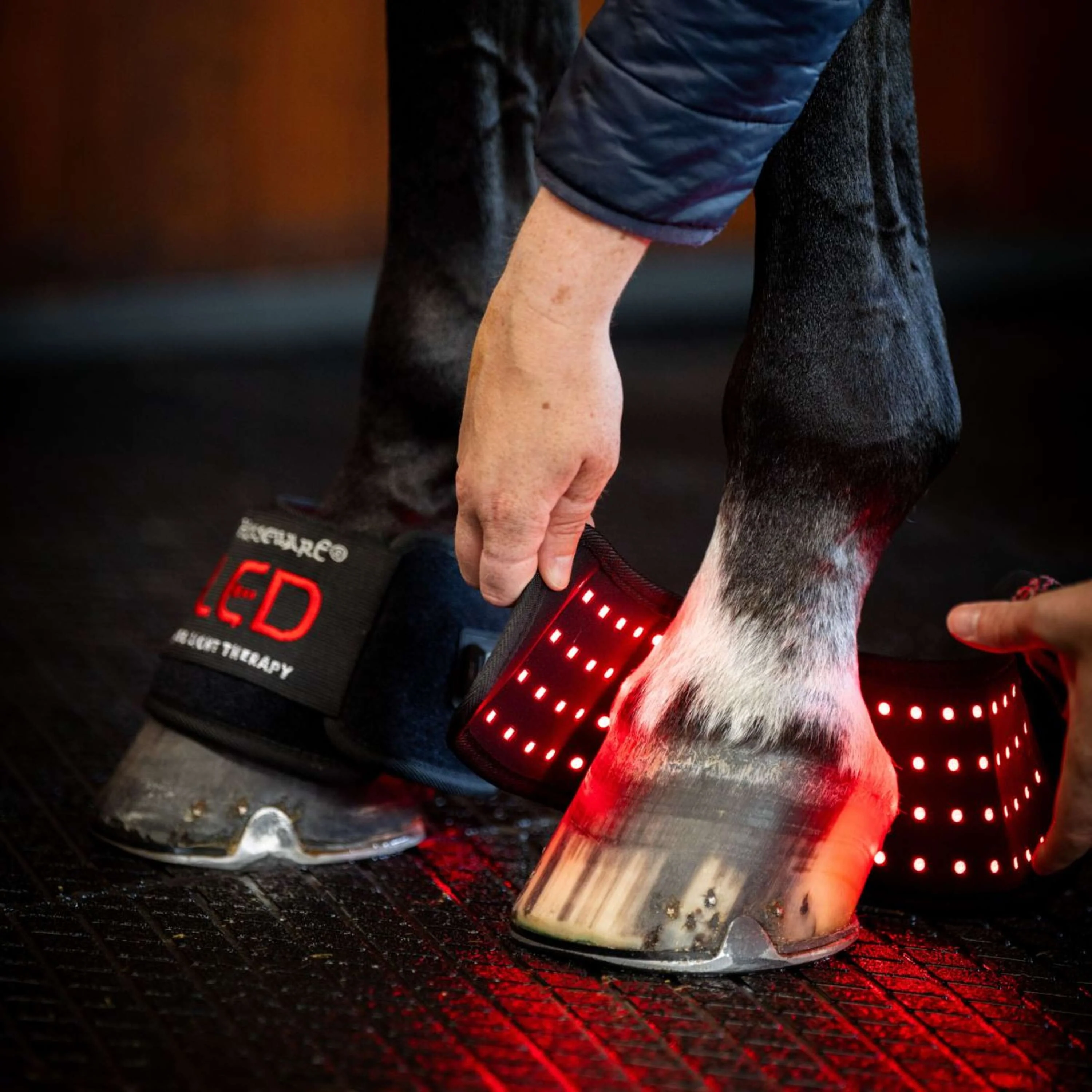 Horseware Mini Wraps LED Red Light Therapy Pair Noir/Noir - Image 3