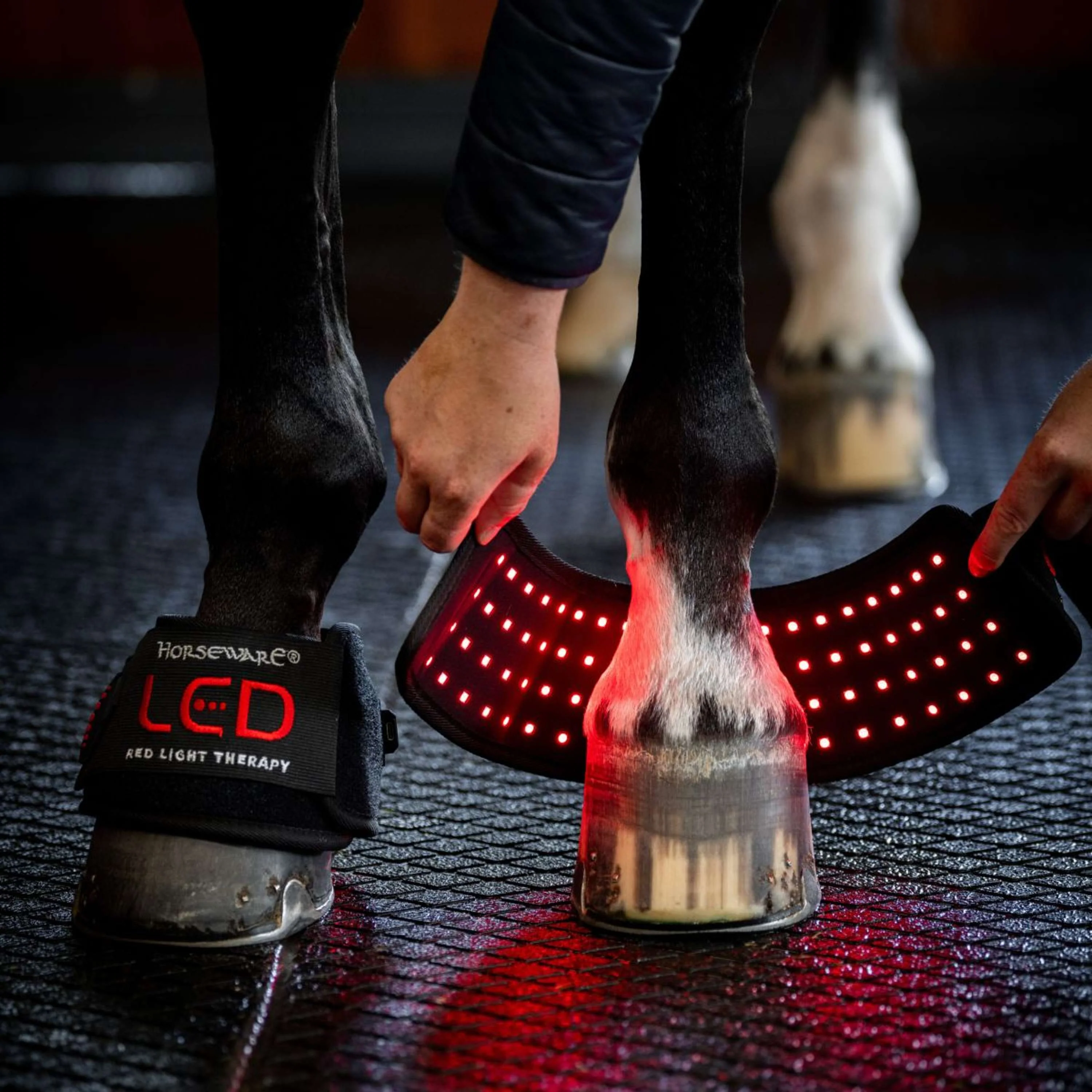 Horseware Mini Wraps LED Red Light Therapy Pair Noir/Noir - Image 2