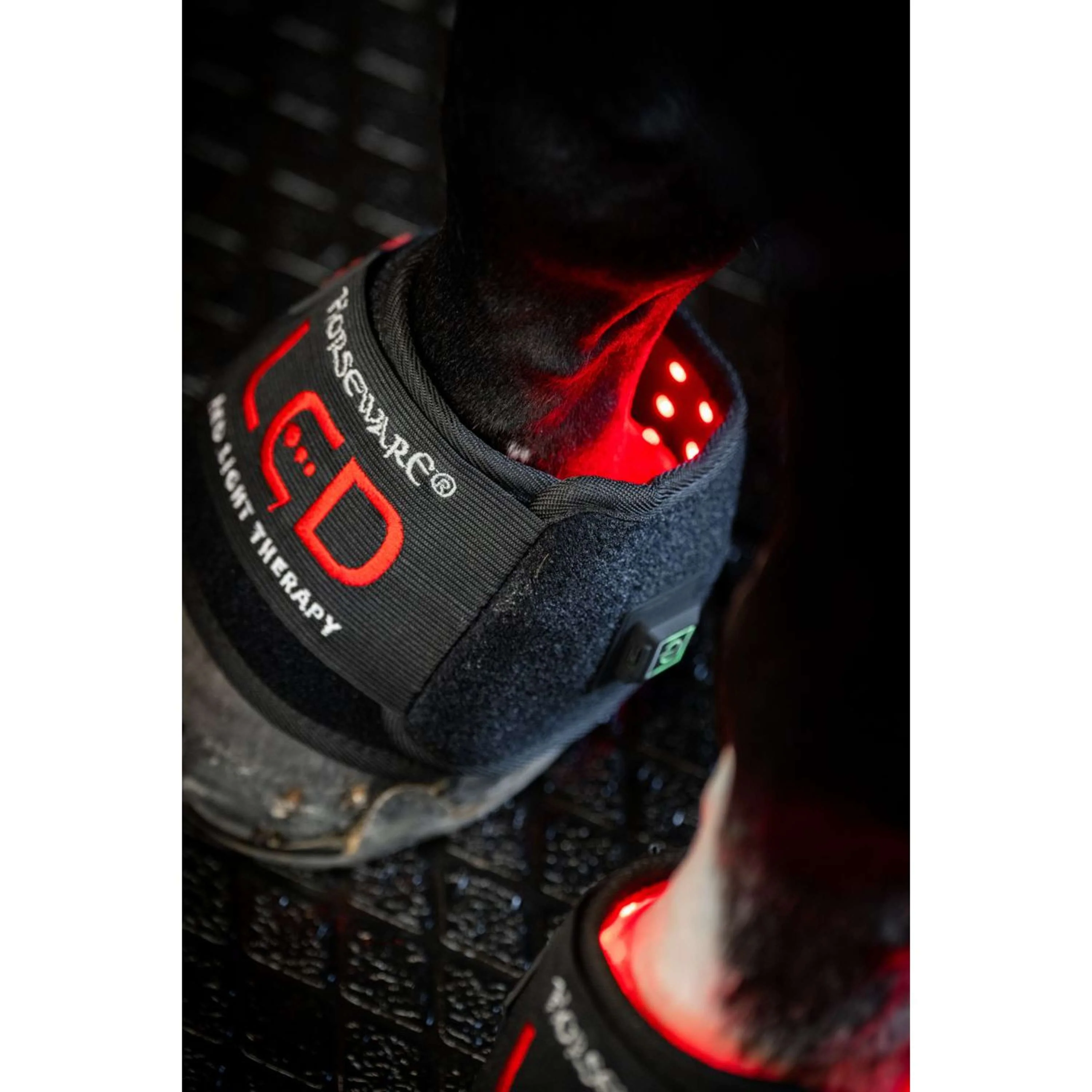 Horseware Mini Wraps LED Red Light Therapy Pair Noir/Noir - Image 7