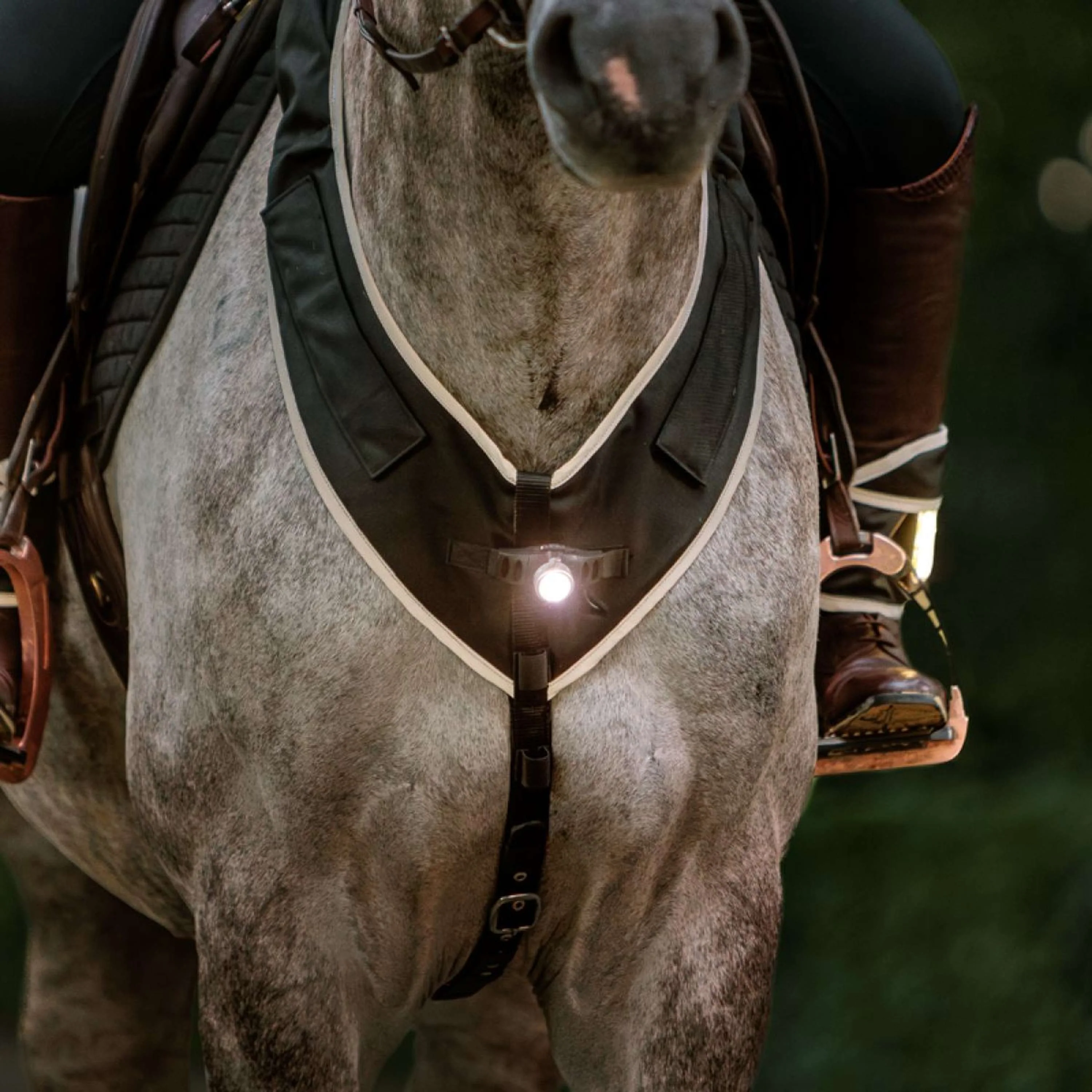 Kavalkade Collier de Chasse Horselight Noir/Gris