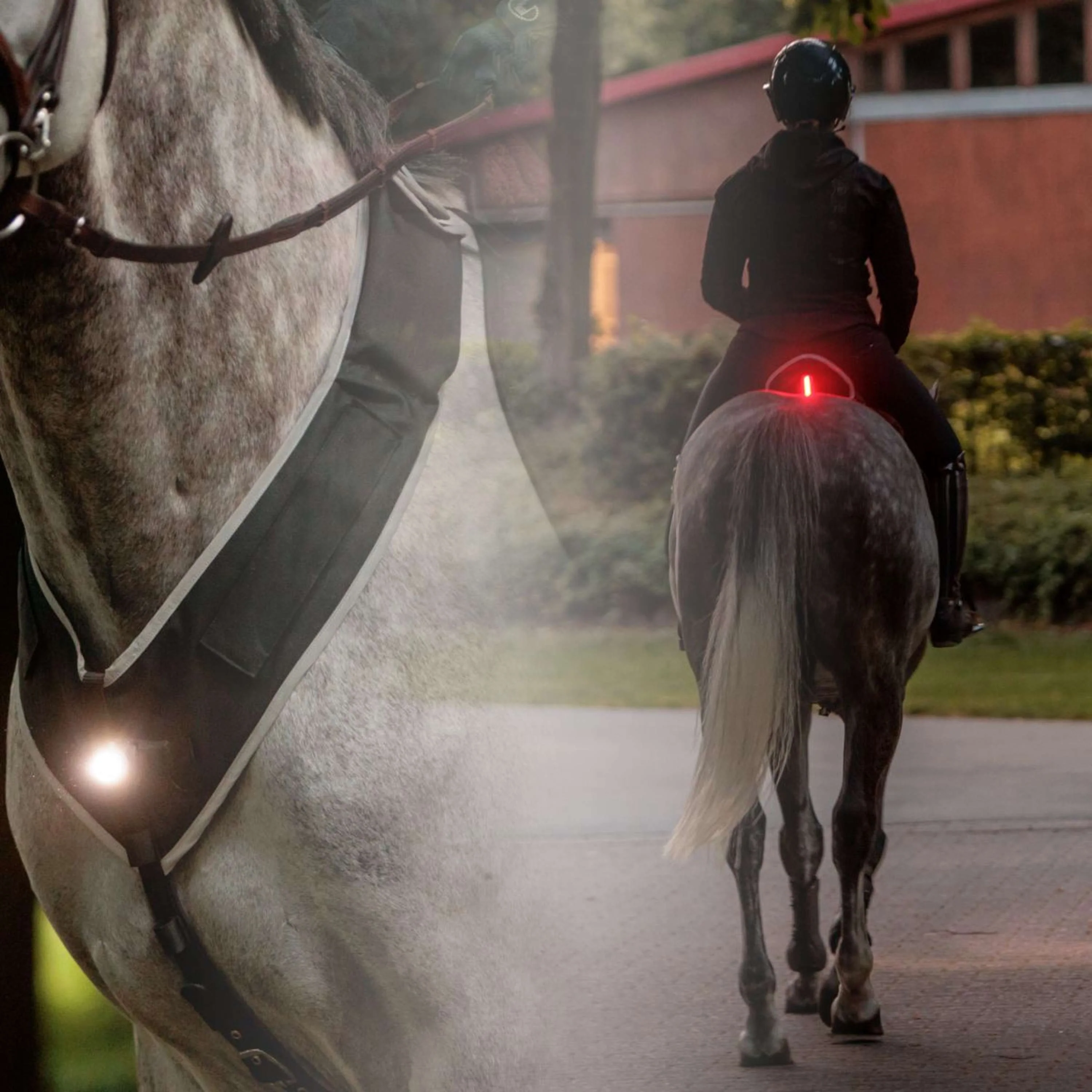 Kavalkade Cuirasse/selle Horselight Noir/Gris