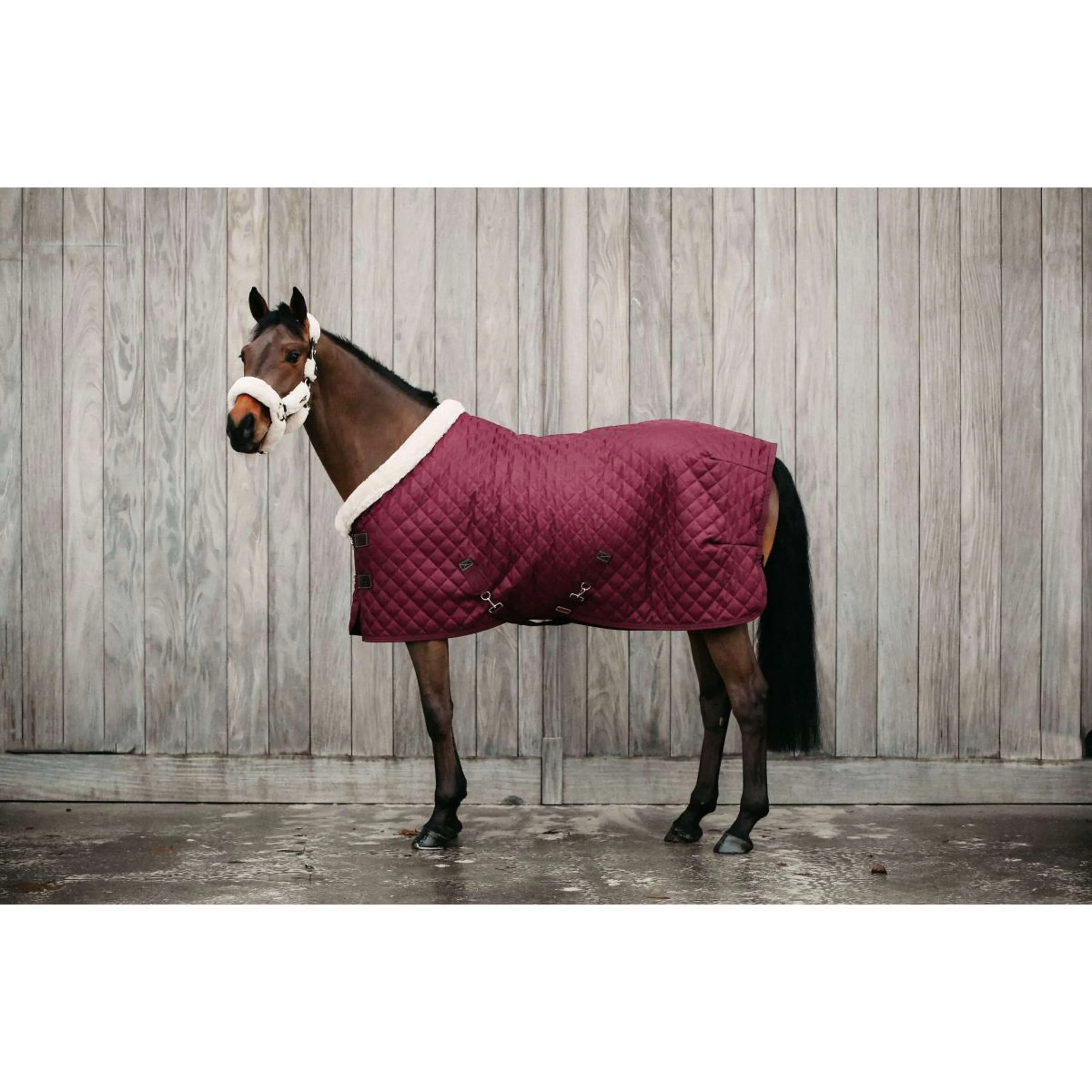 Kentucky Couverture de Concours 160g Bordeaux