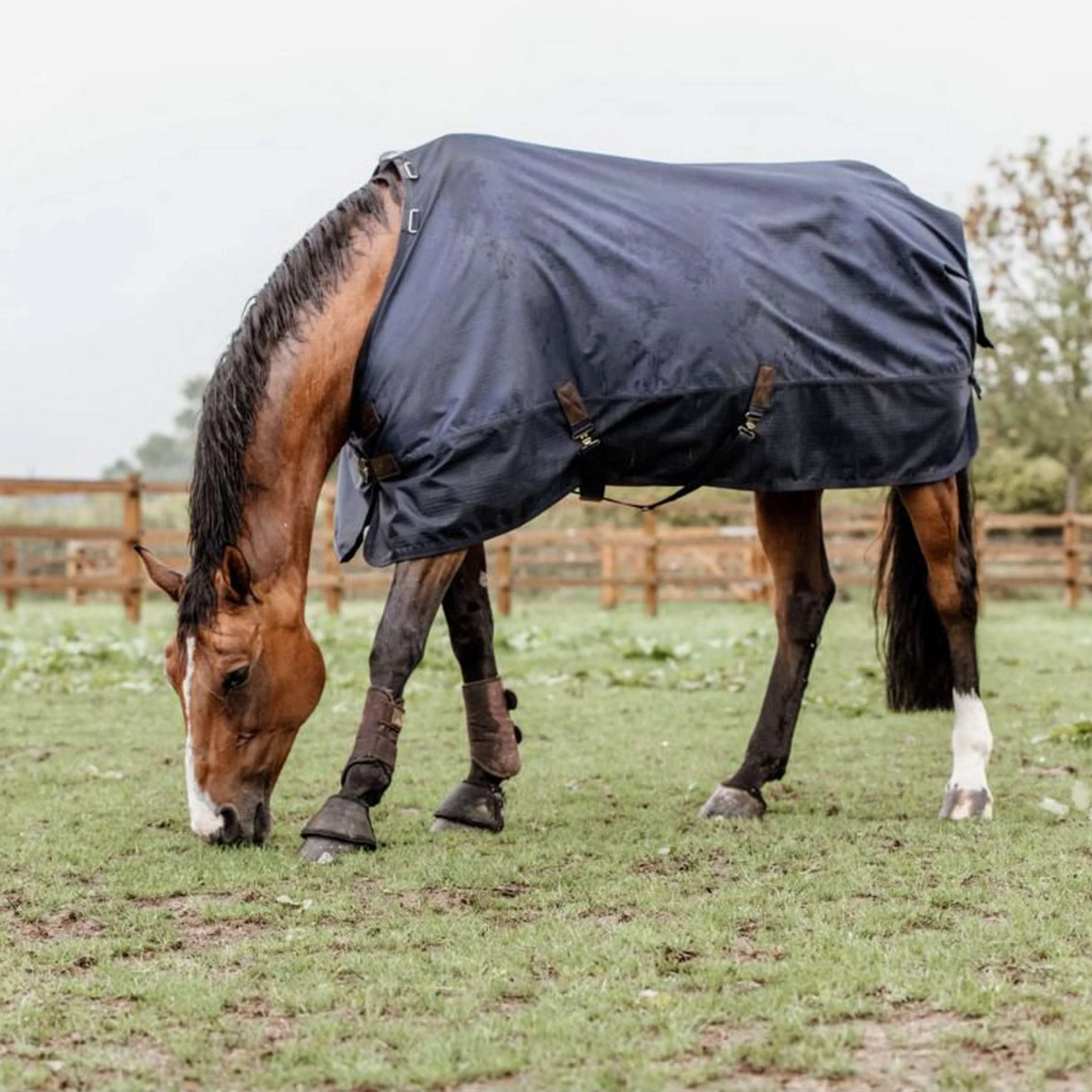 Kentucky Turnout Rug All Weather Waterproof Classic 150g Marin - Image 10