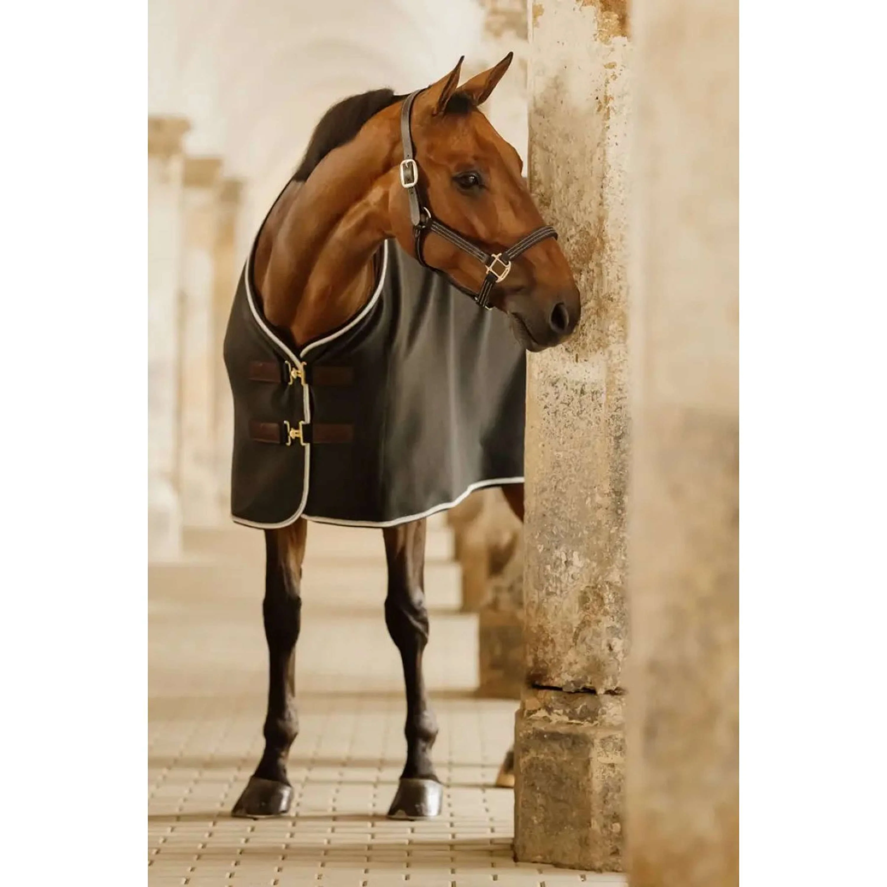 Kentucky Horsewear Couverture Polaire Show Vegan Wool Gris - Image 3