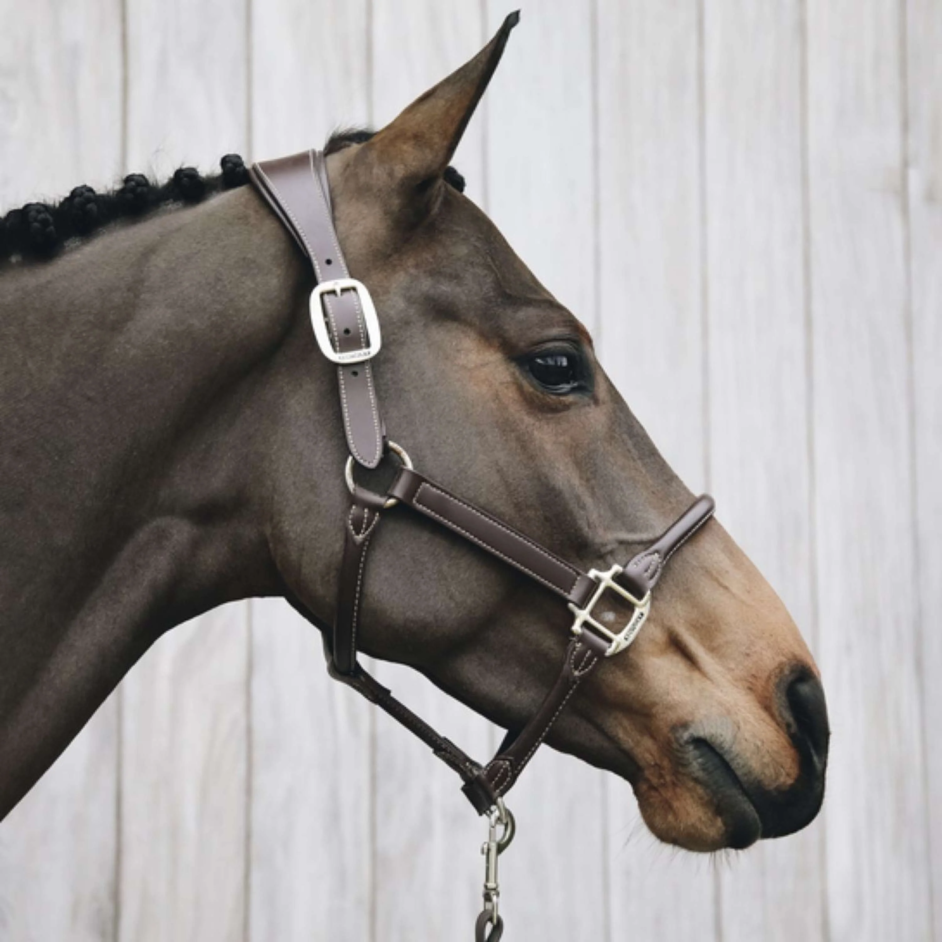 Kentucky Licou Cuir Anatomique Marron - Image 2
