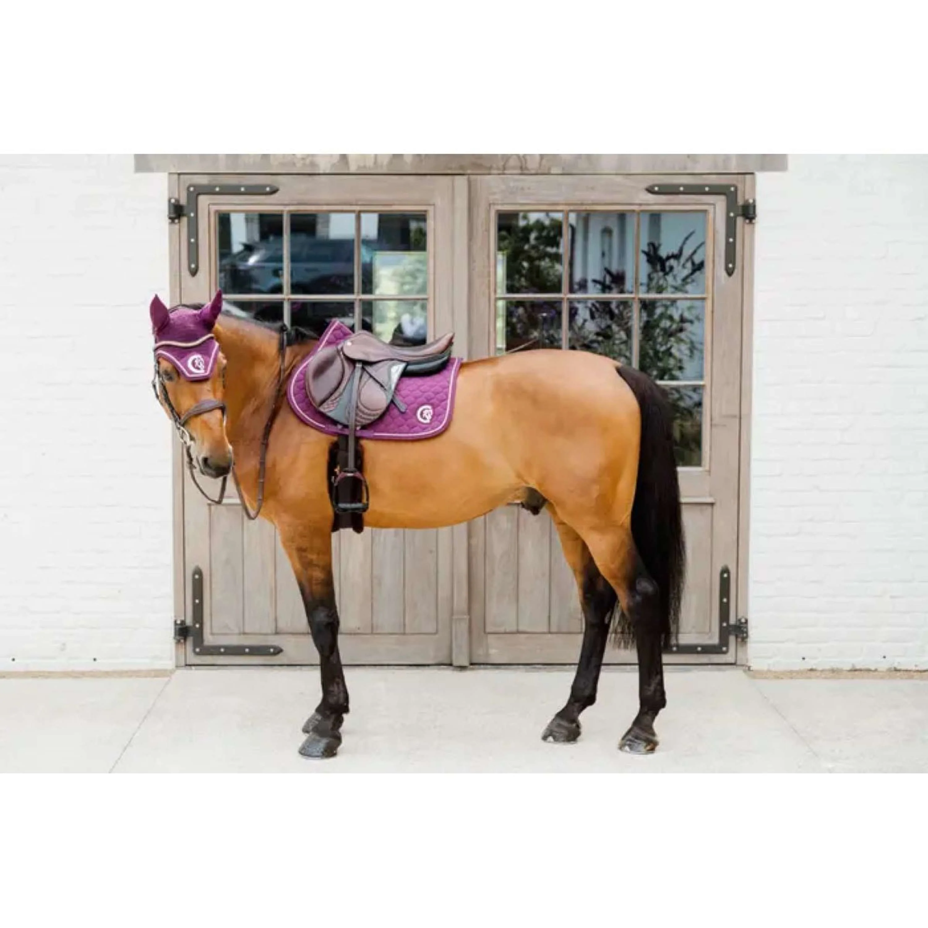 Kentucky Horsewear Tapis de Selle Onion Quilt 3D Logo de Saut Violet - Image 5
