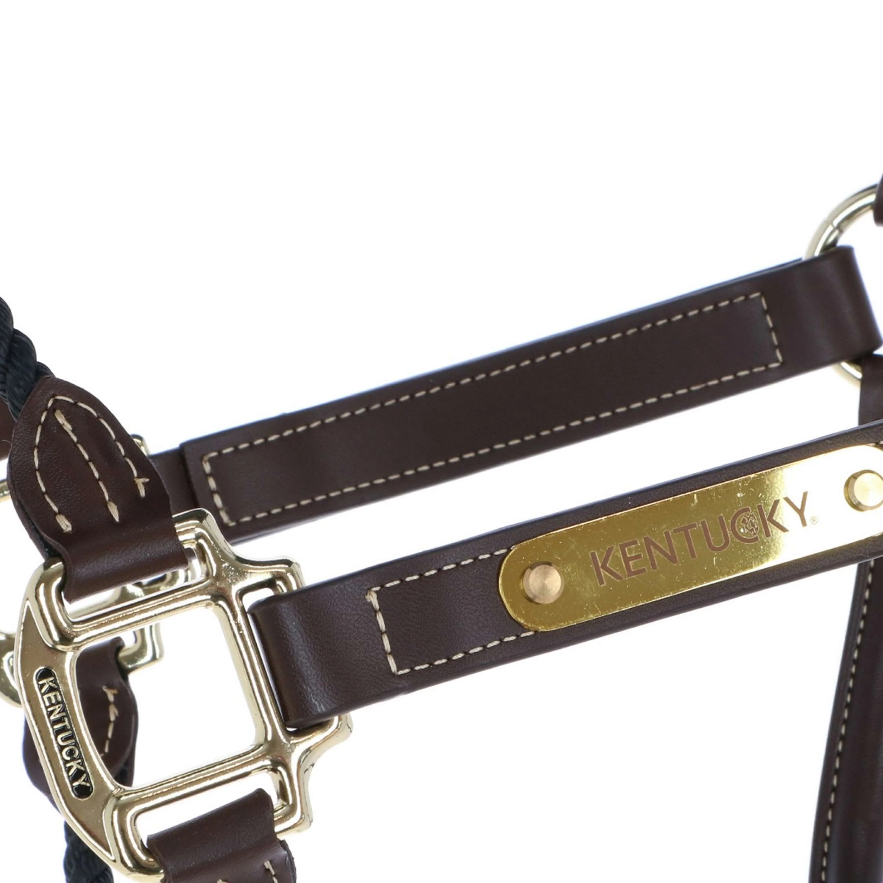 Kentucky Licol en Cuir et Corde Noir - Image 2