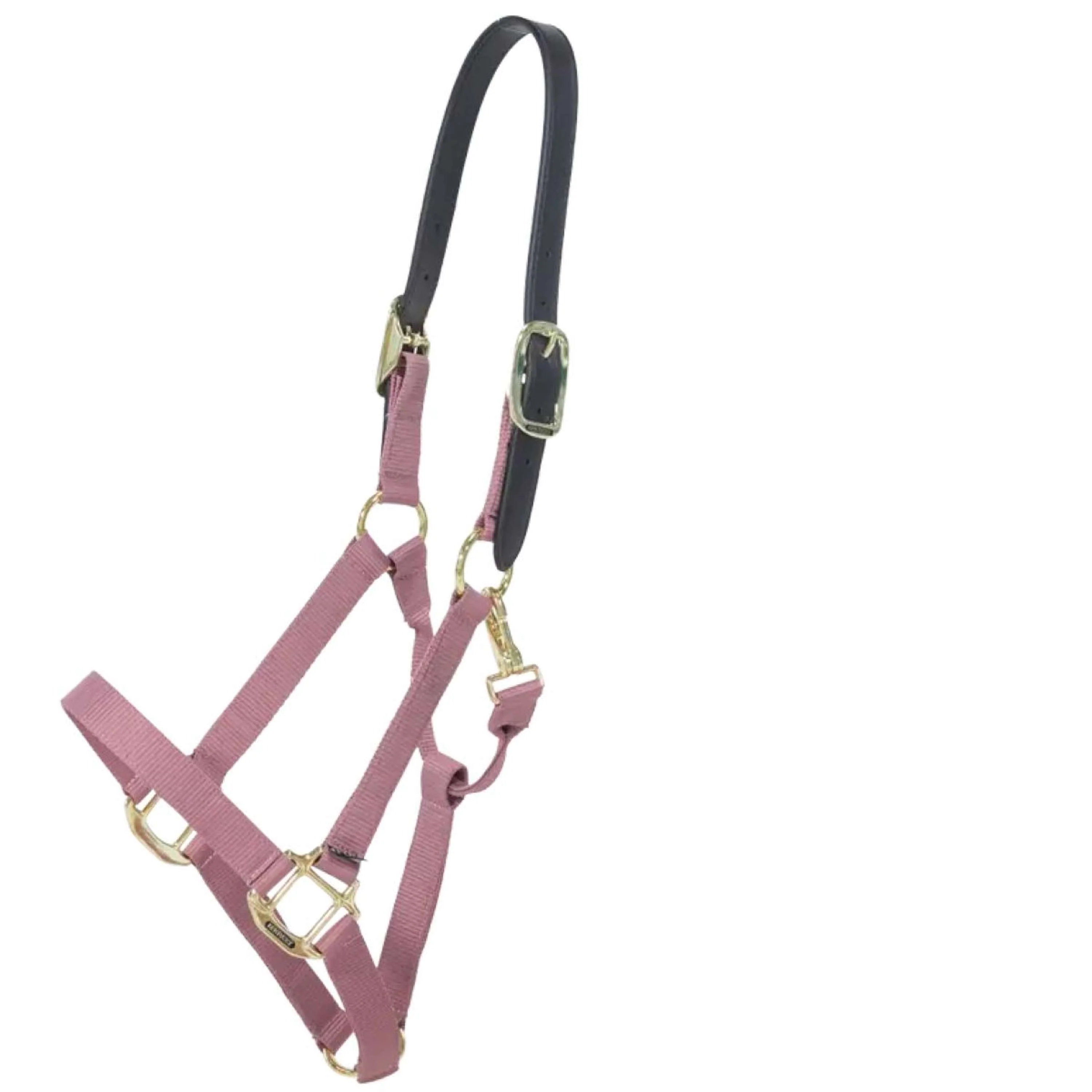 Kentucky Licol Nylon Breakaway Rose Vieux