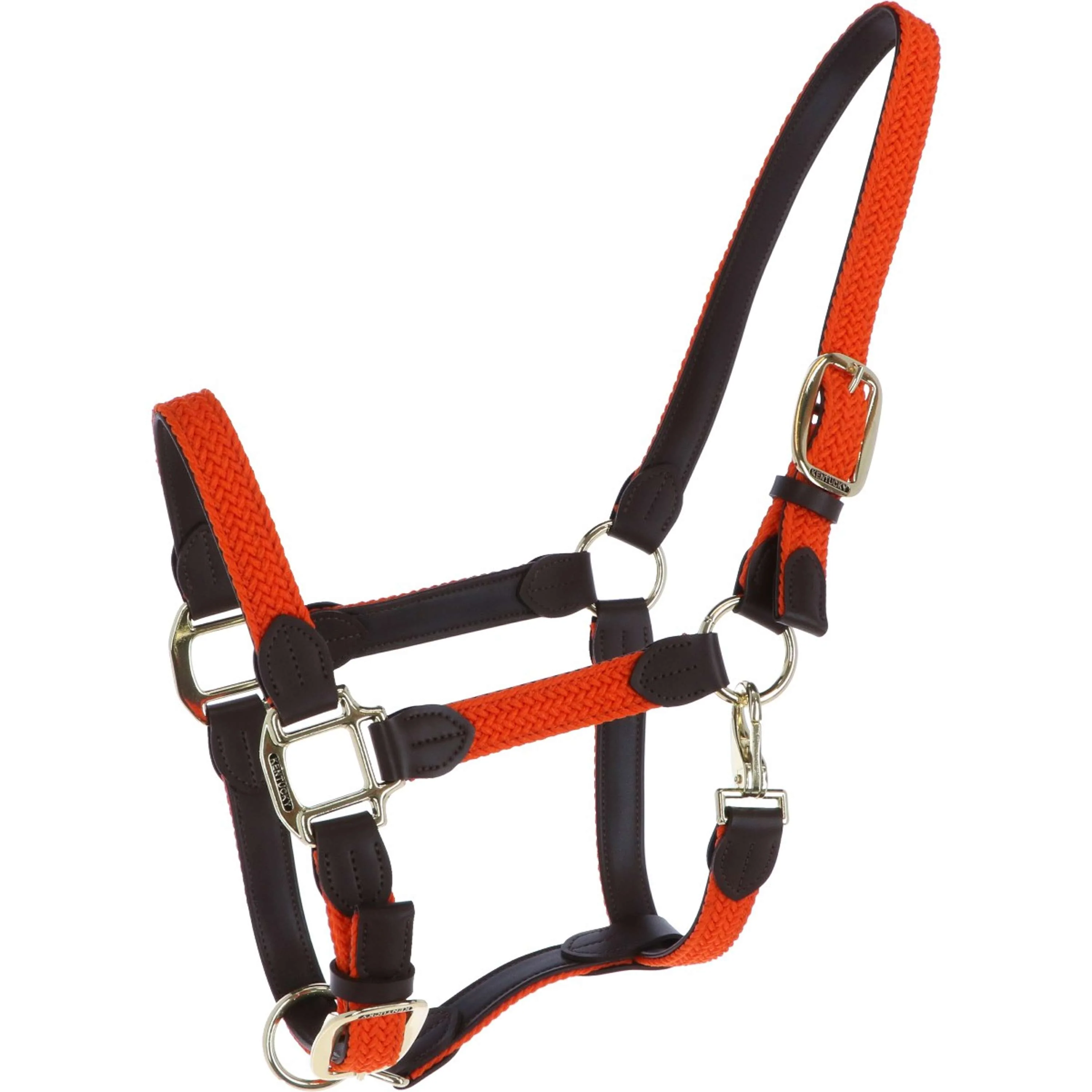 Kentucky Licol Nylon Tressé Orange