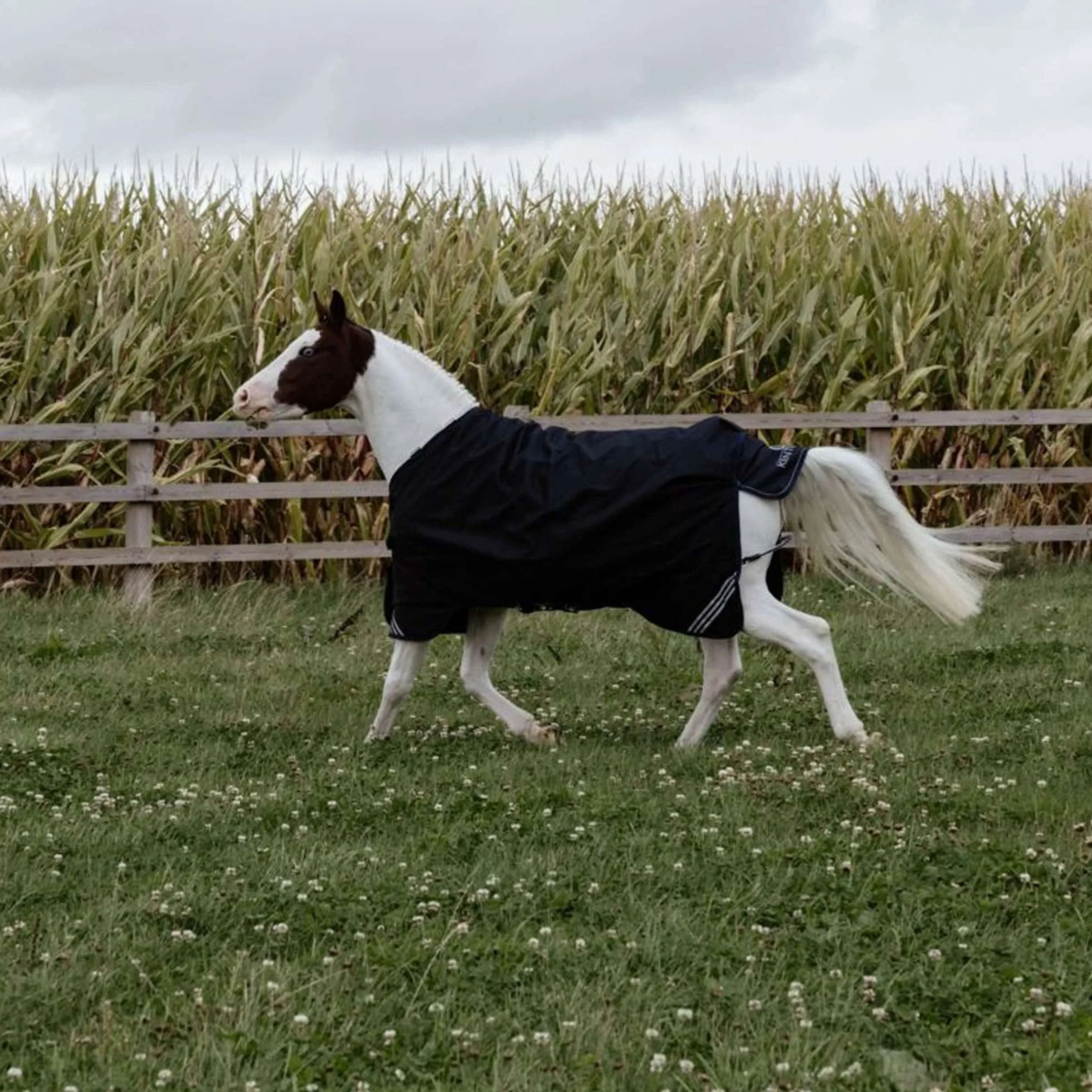Kentucky Turnout Rug All Weather Comfort Waterproof 0g Noir - Image 3