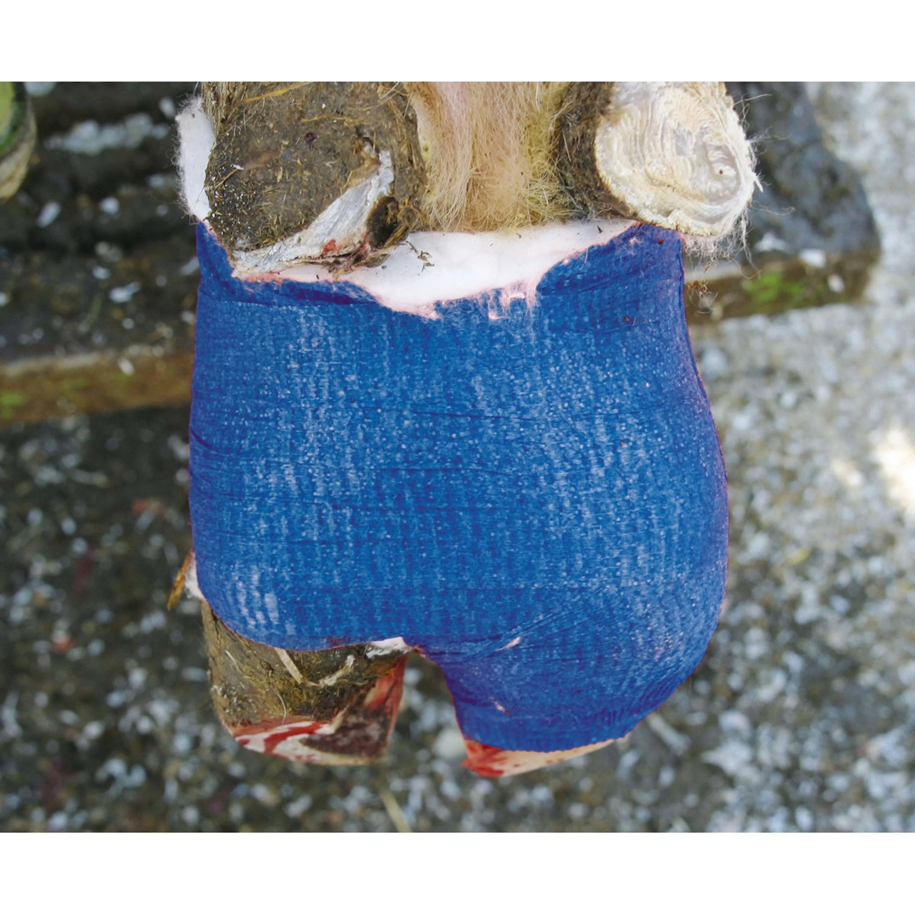 Kerbl Bandage VetLastic Autocollant Noir - Image 4