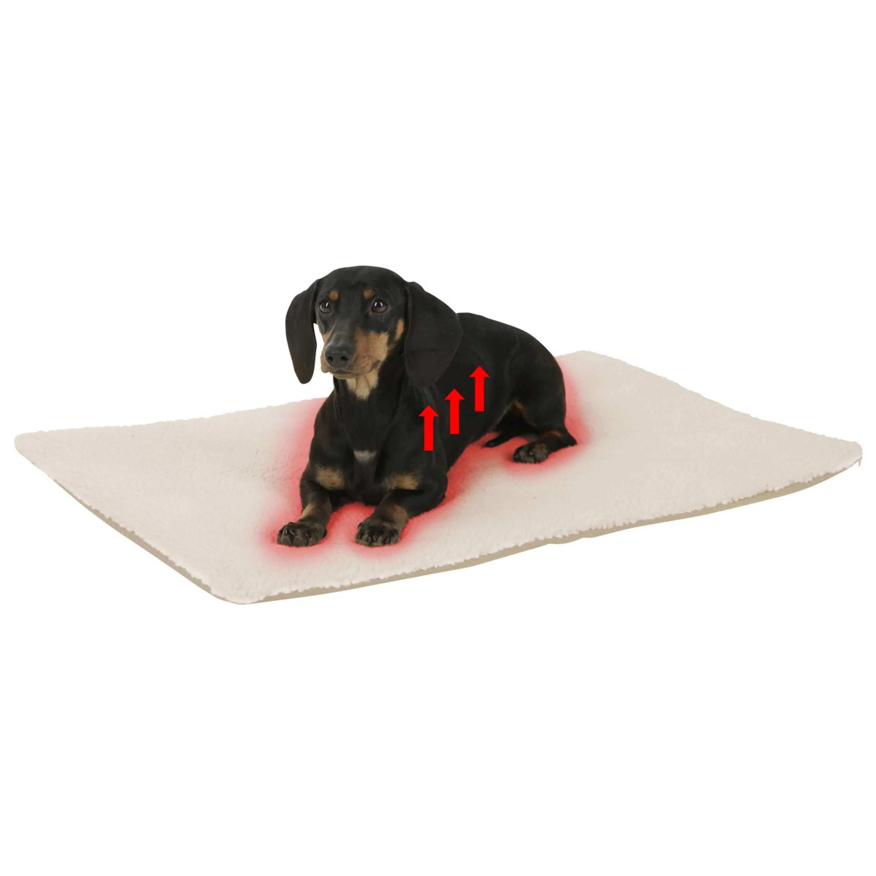 Kerbl Coussin pour Chien Beige - Image 2