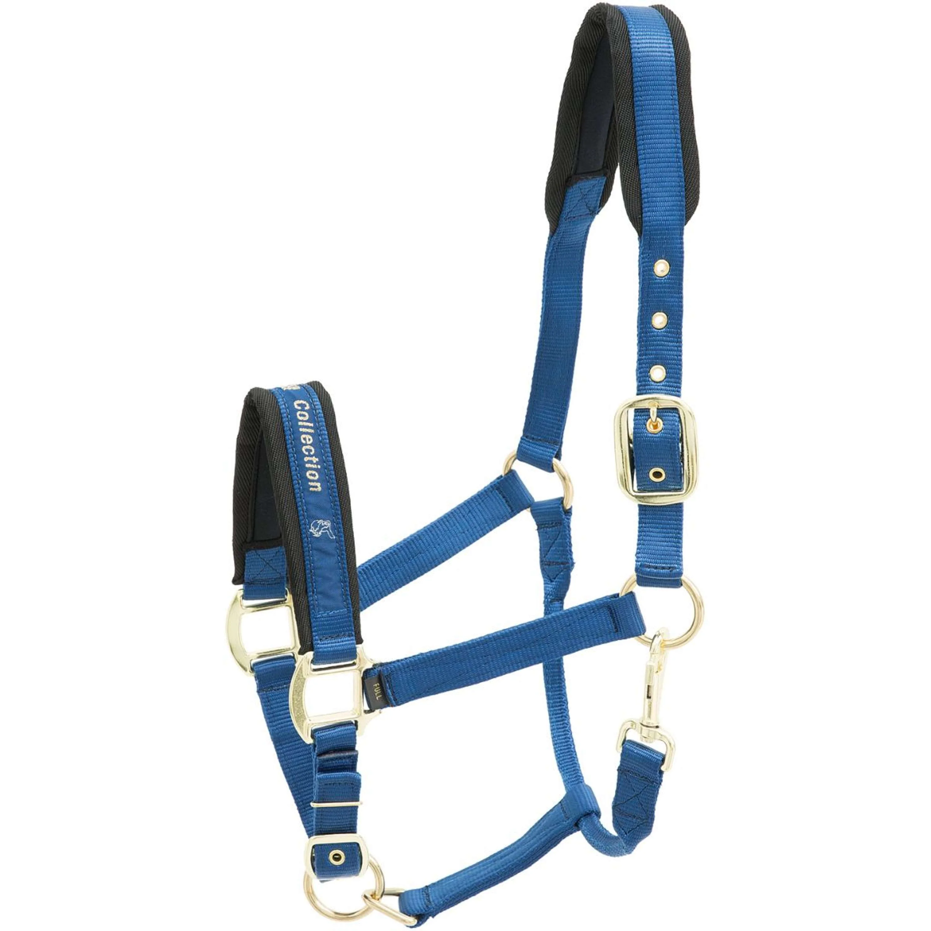 Kieffer Licol Nylon Bleu