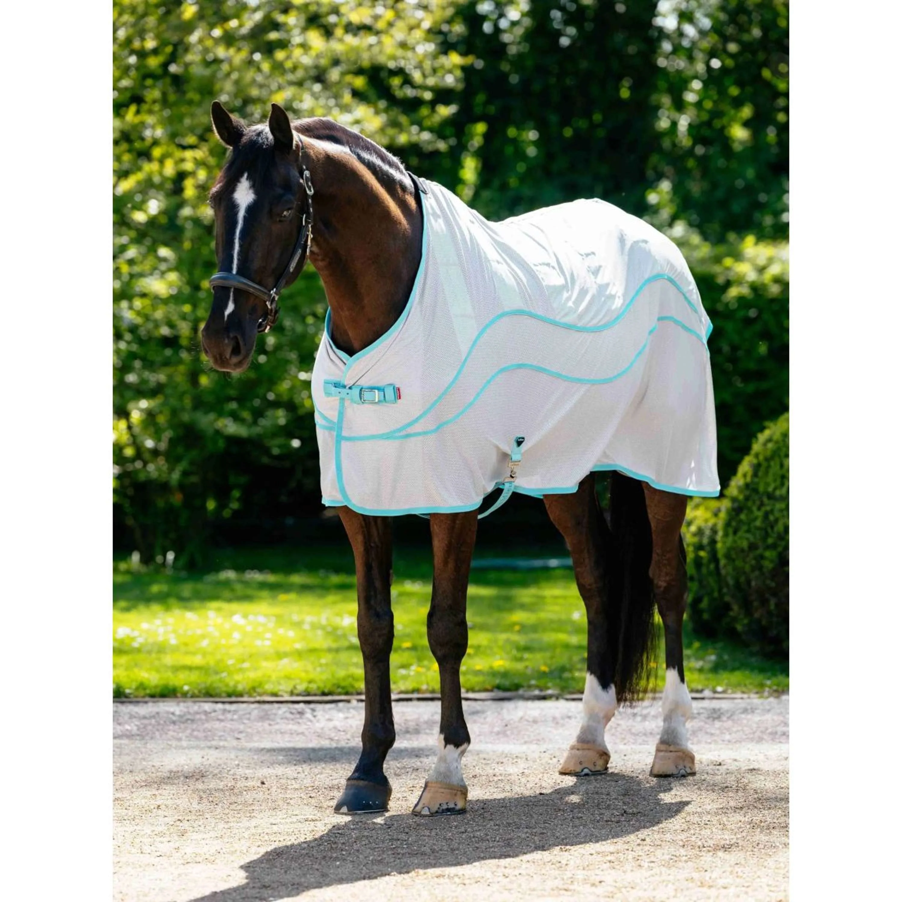 LeMieux Chemise Rafraîchissante Crystal Gris - Image 3