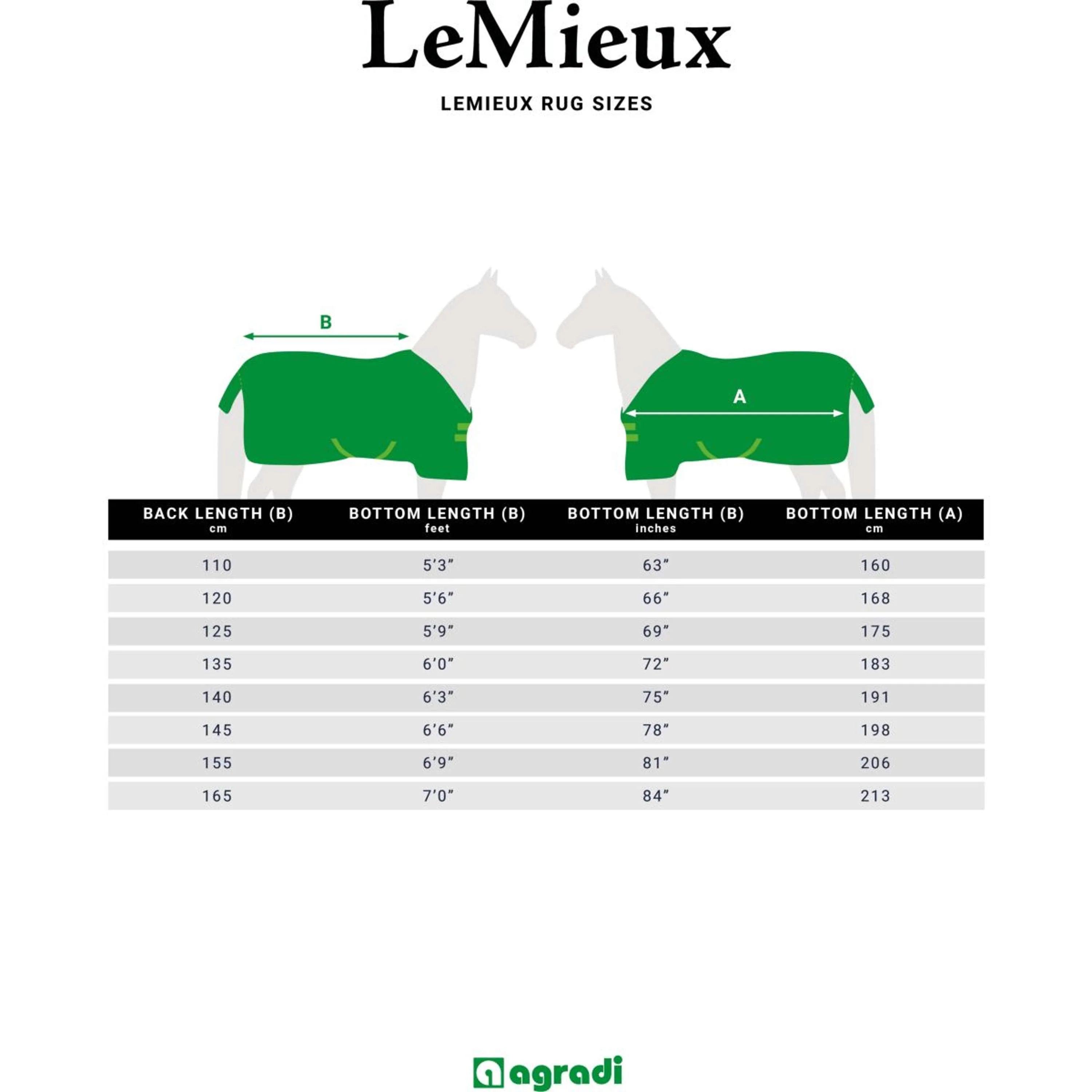 LeMieux Couverture Anti-Eczema Kudos Sweet Itch Pierre - Image 13