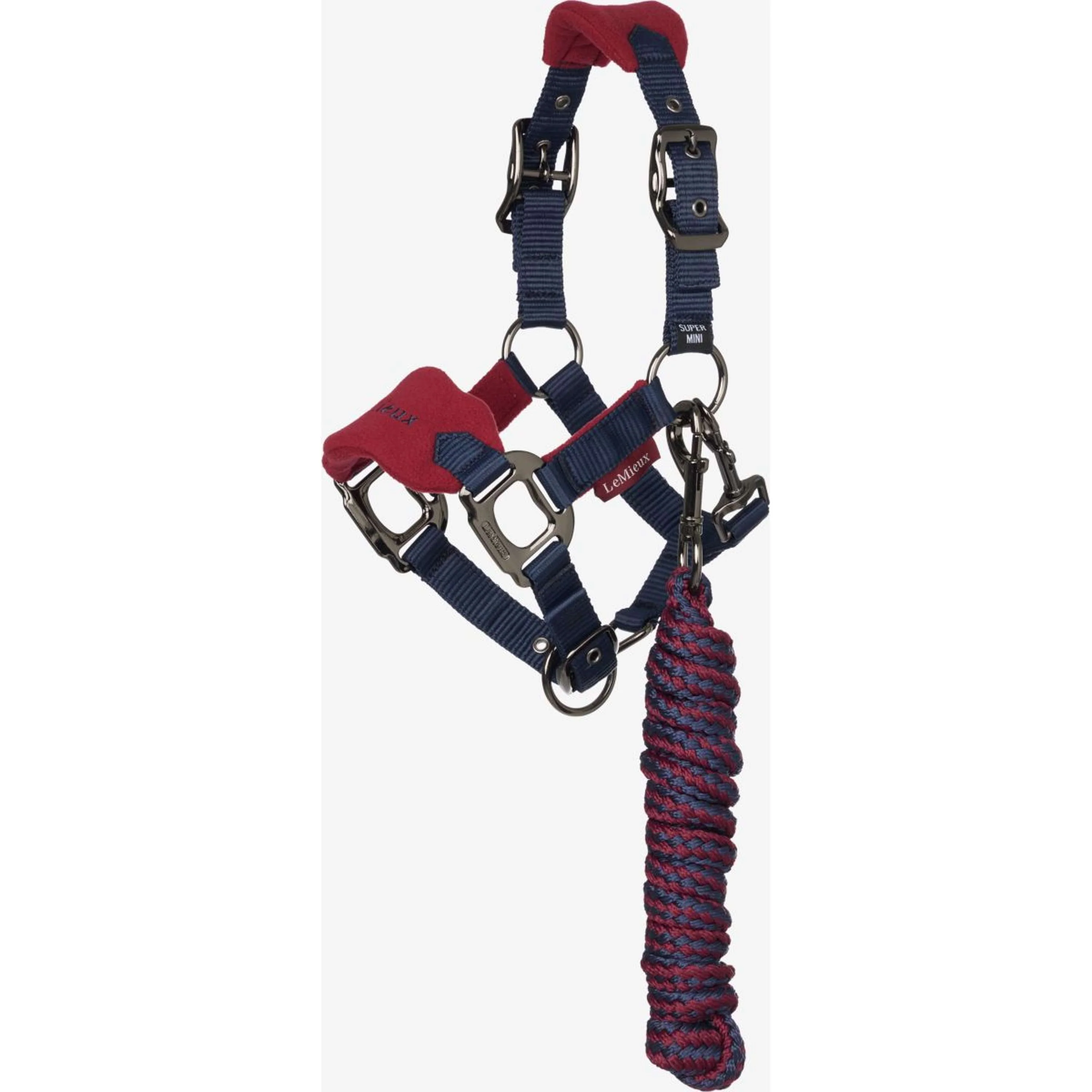 LeMieux Ensemble Licol Mini Vogue Bordeaux