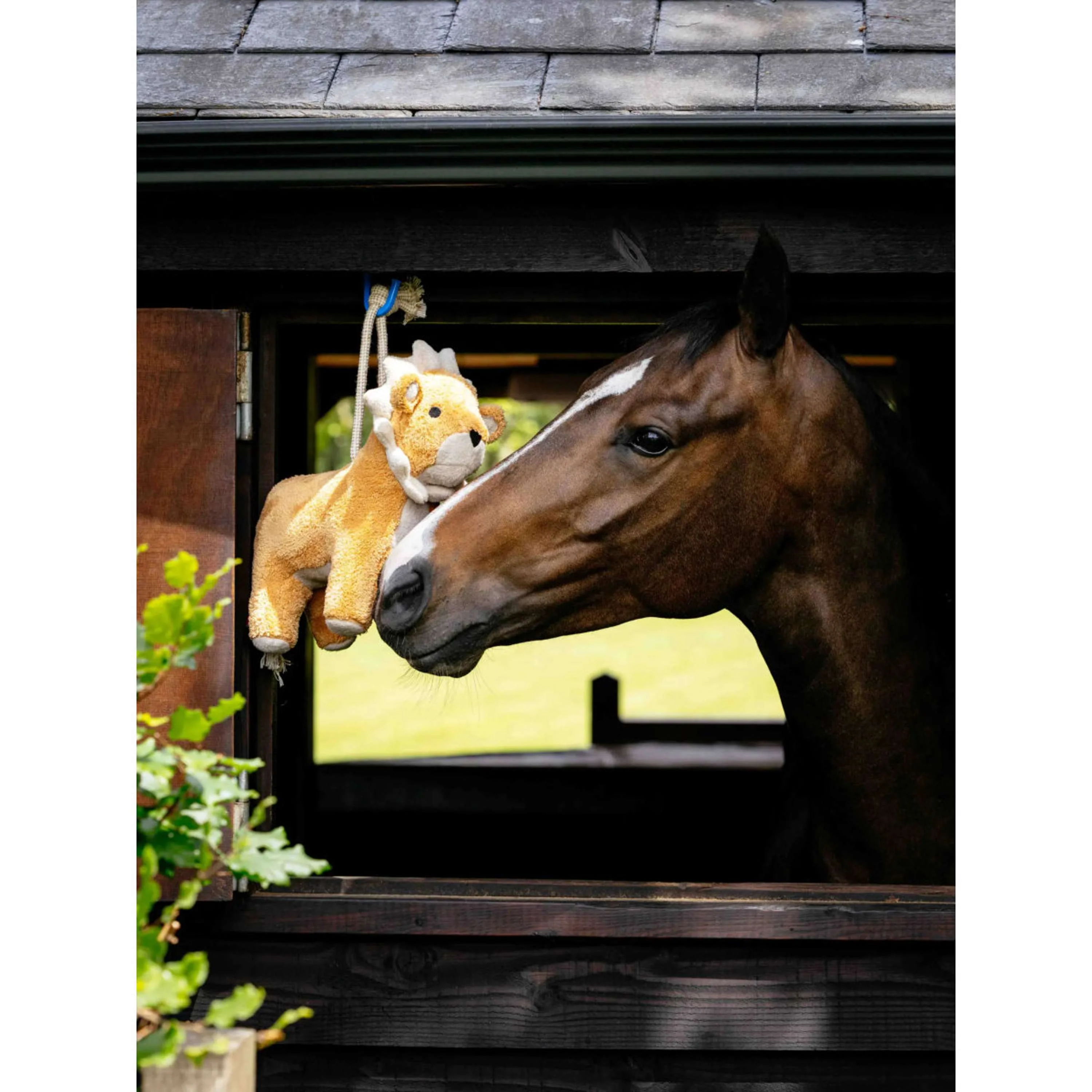 LeMieux Horse Toy Lion Orange - Image 2