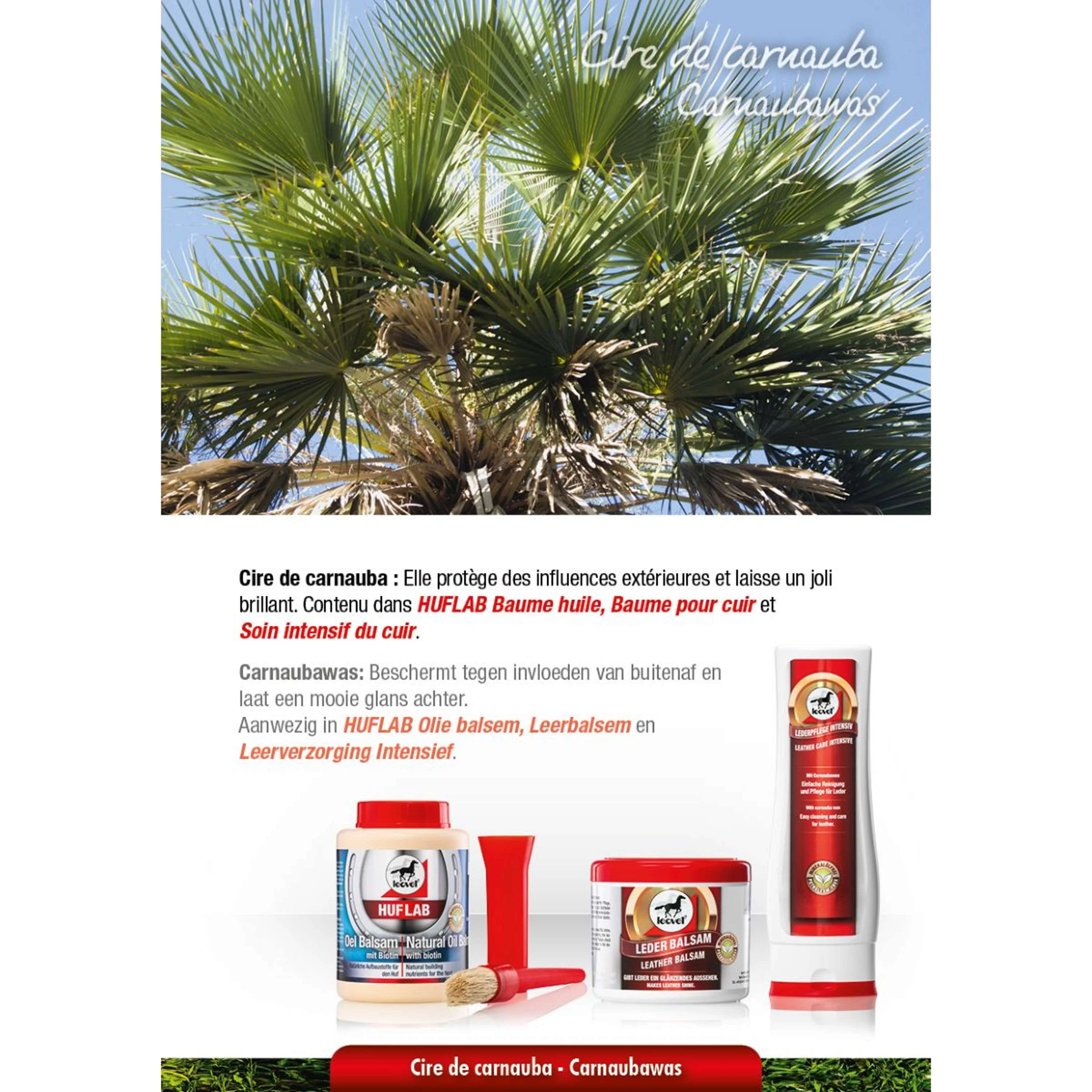 Leovet Leather Care Intensive - Image 7