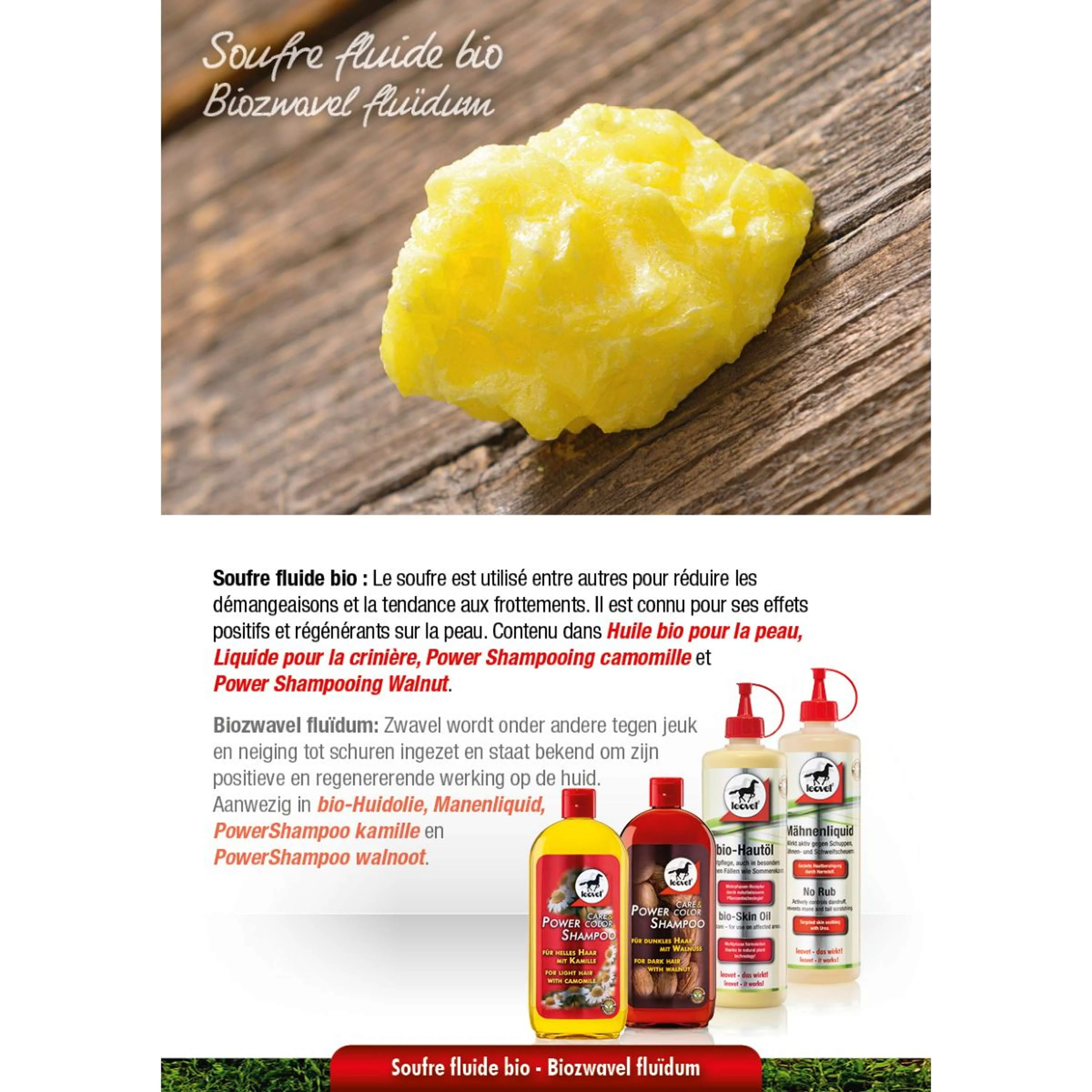 Leovet Shampooing Puissant Camomille - Image 2