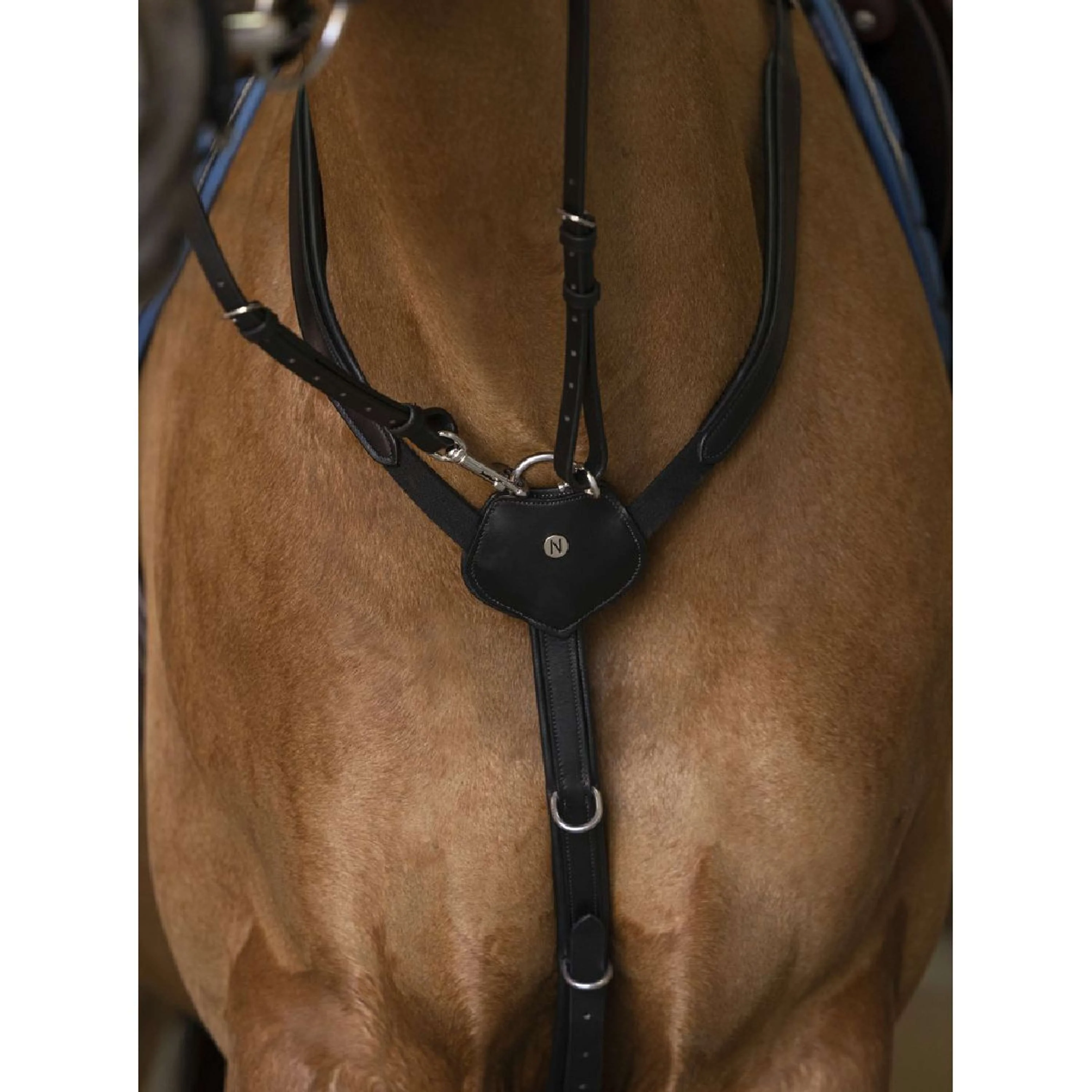 Norton Collier de Chasse Pro Confort Noir