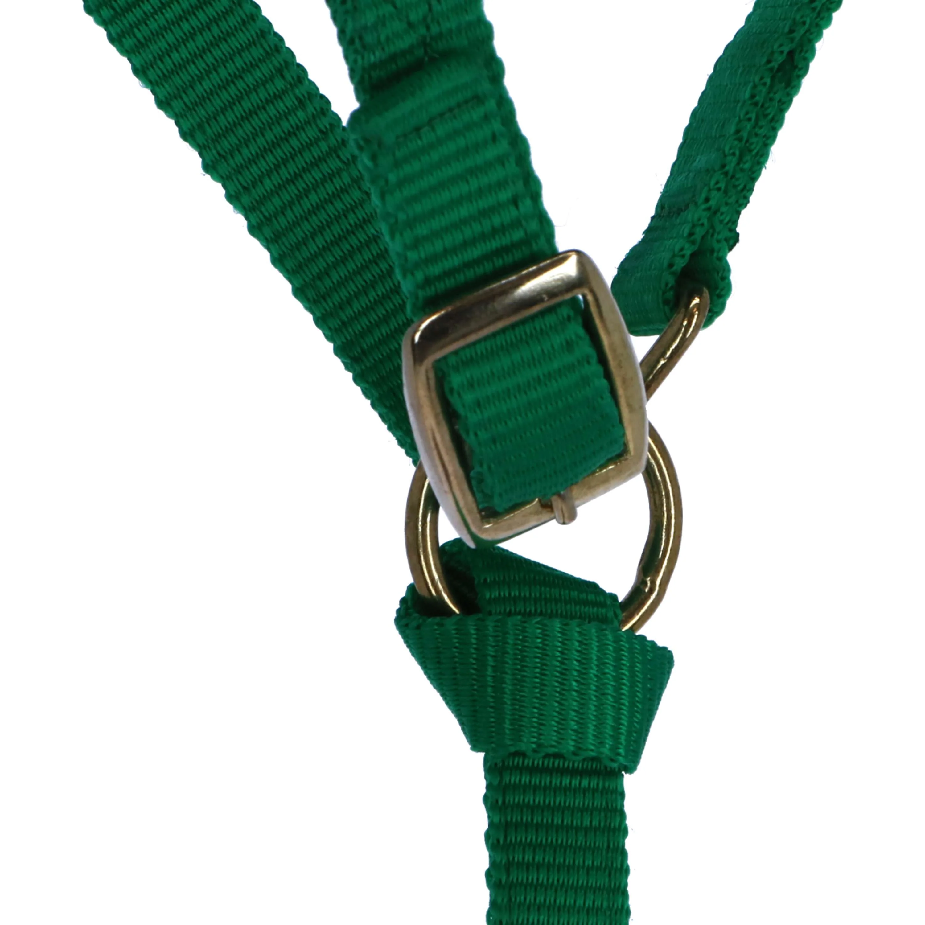 Norton Licol pour Poulain avec Longe Vert clair - Image 3