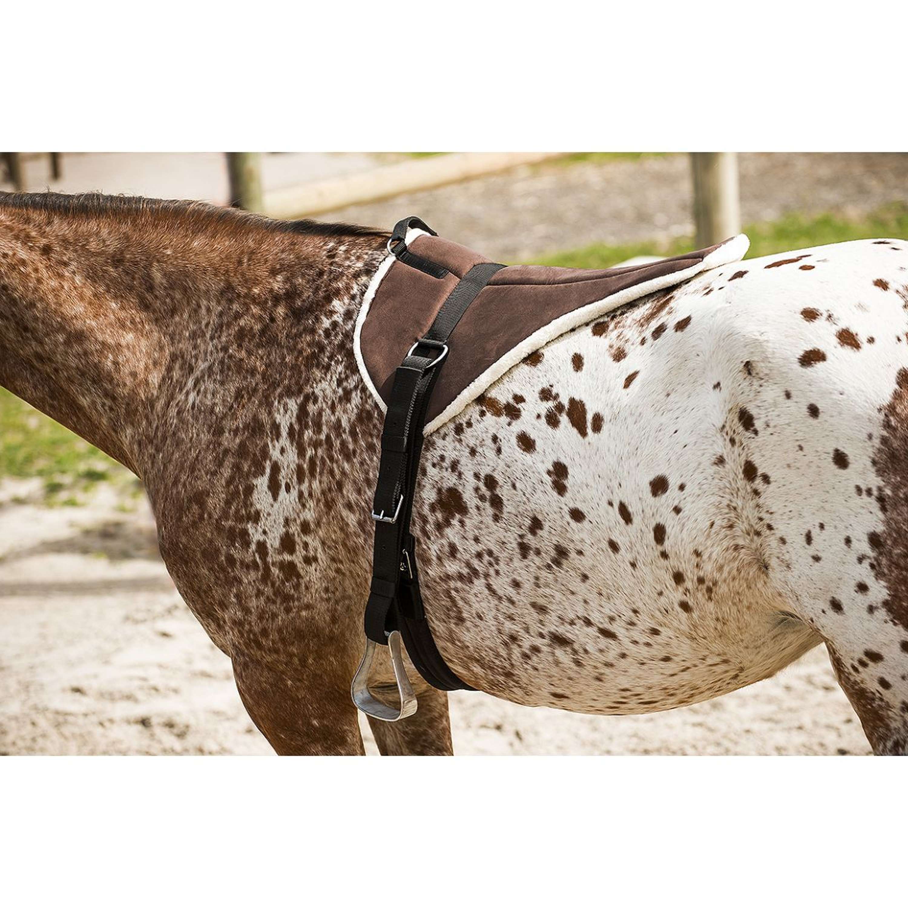 Norton Pad Sans Selle Soft Marron/beige
