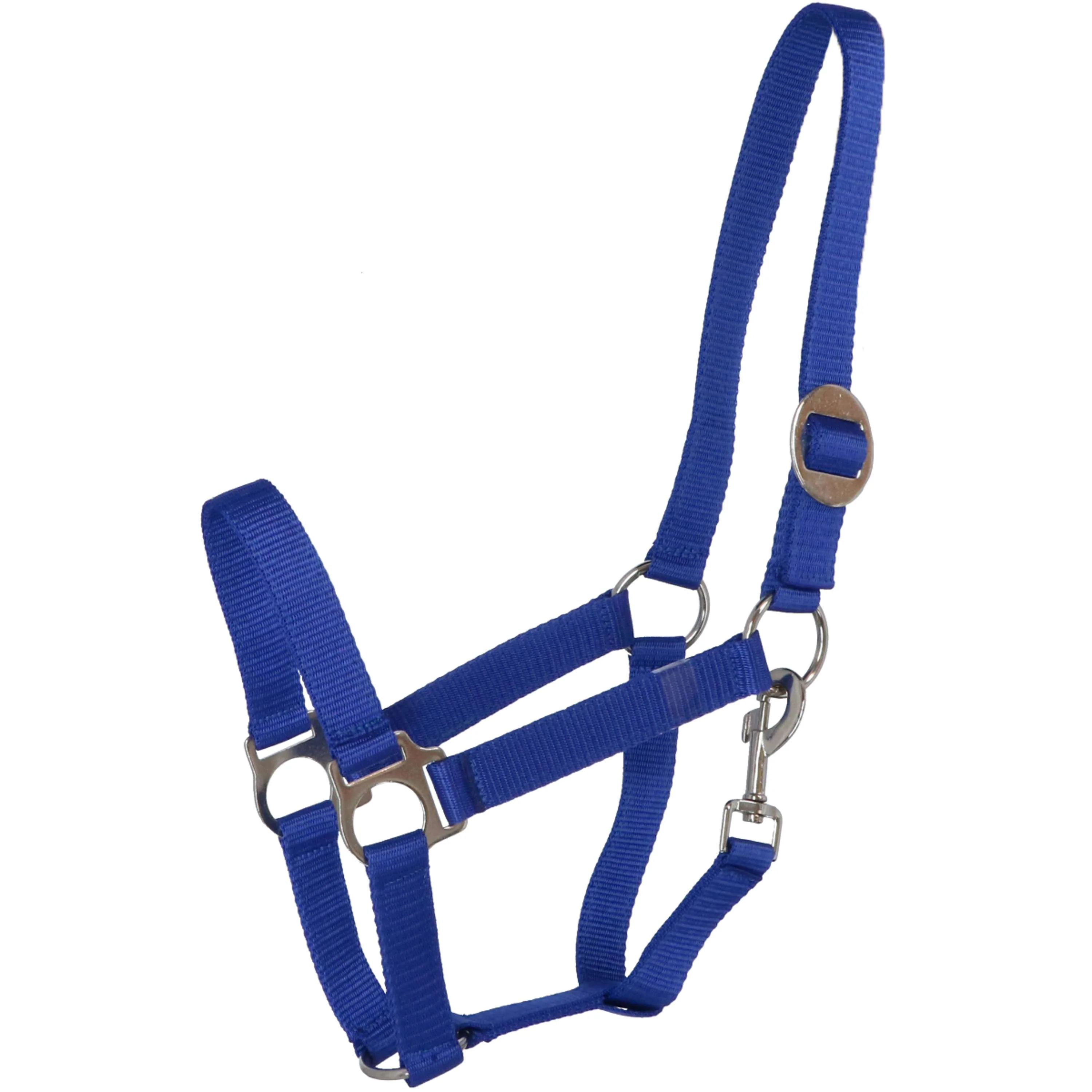 Premiere Licol Standaard Poly Bleu