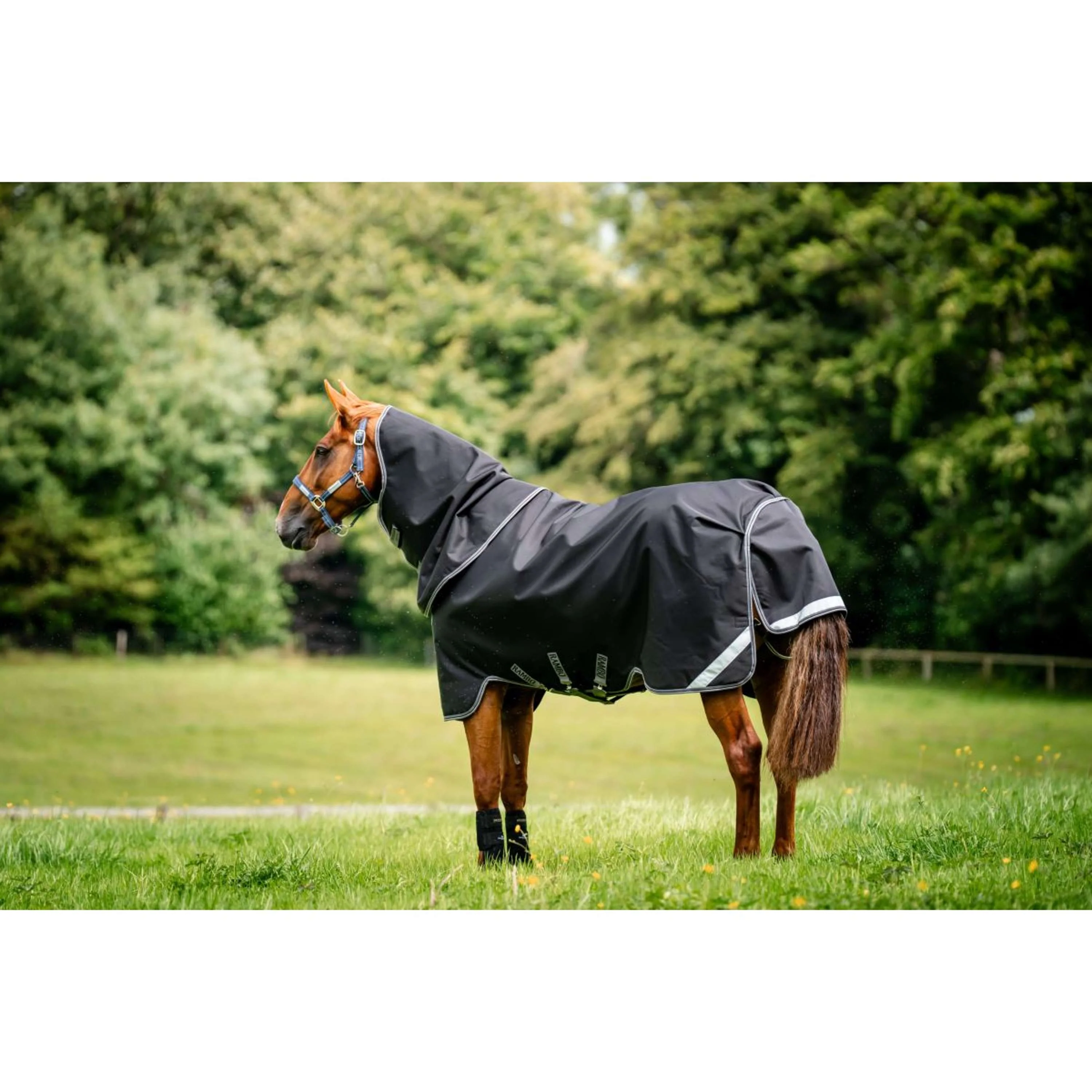 Rambo Chemise Turnout 1680D Plus 100g Noir/Thunderstorm Grey/Silver