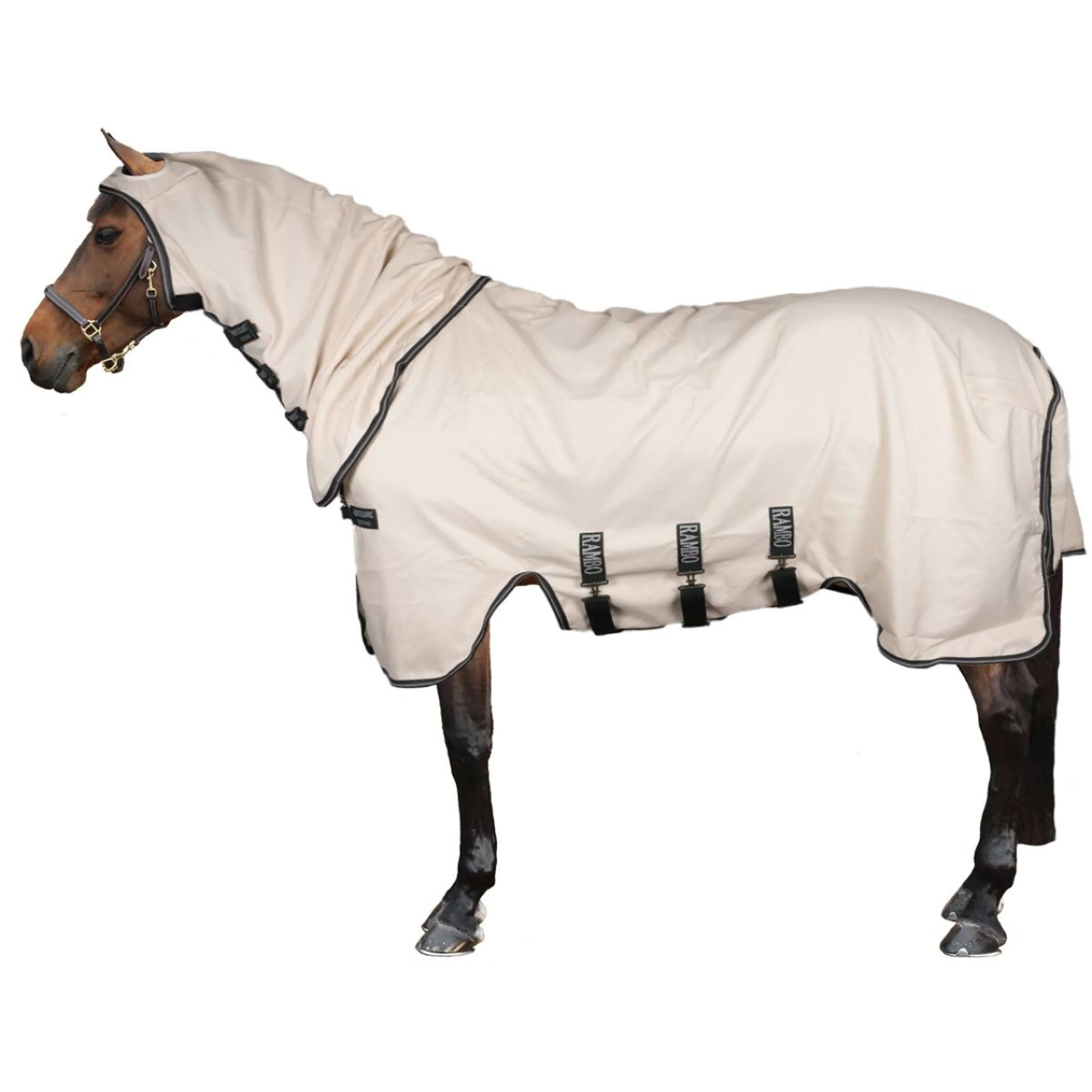 Rambo Pull col Hoodie Pony Craie/Vert chasseur/Argent - Image 2