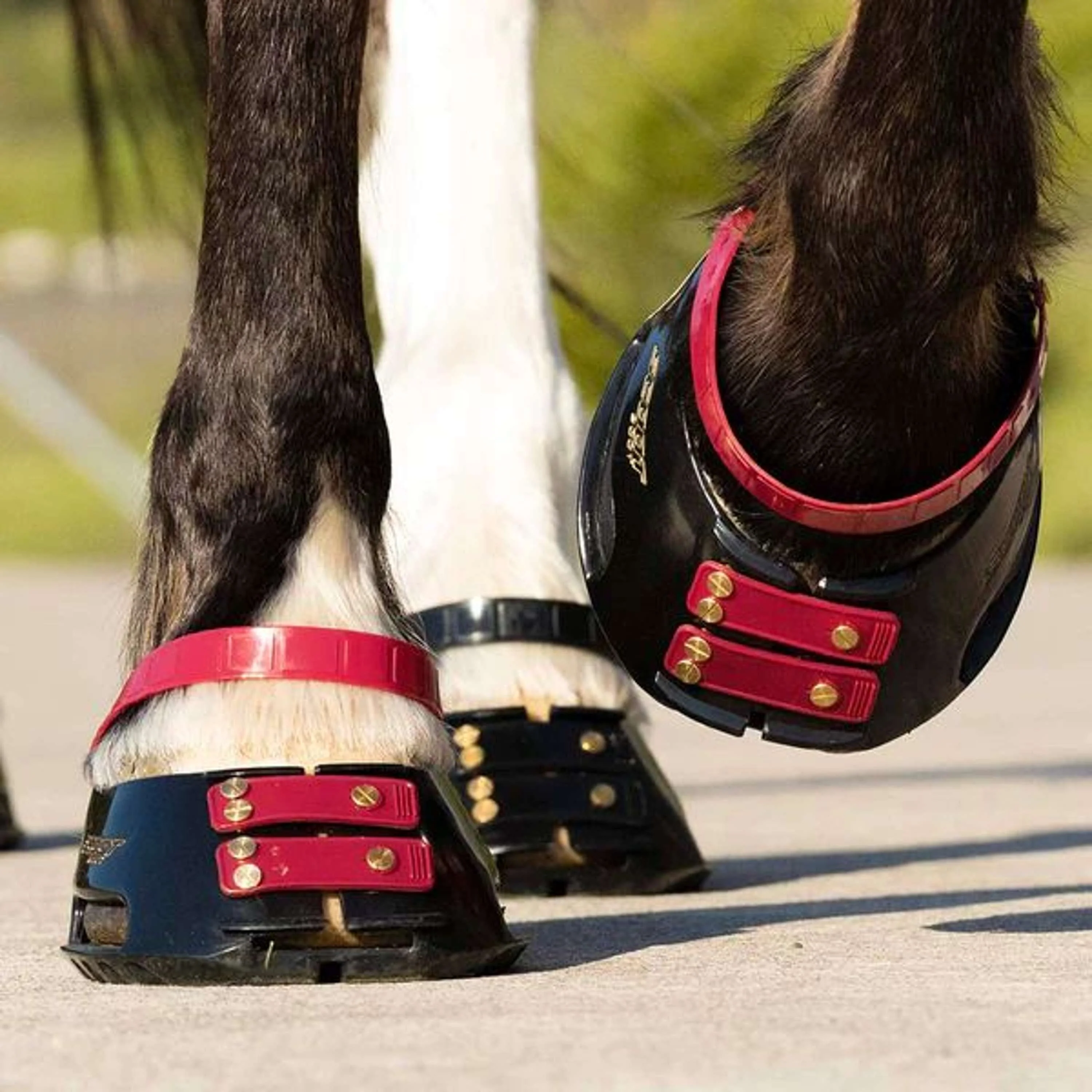 Scoot Boot Front Strap Mulberry - Image 2
