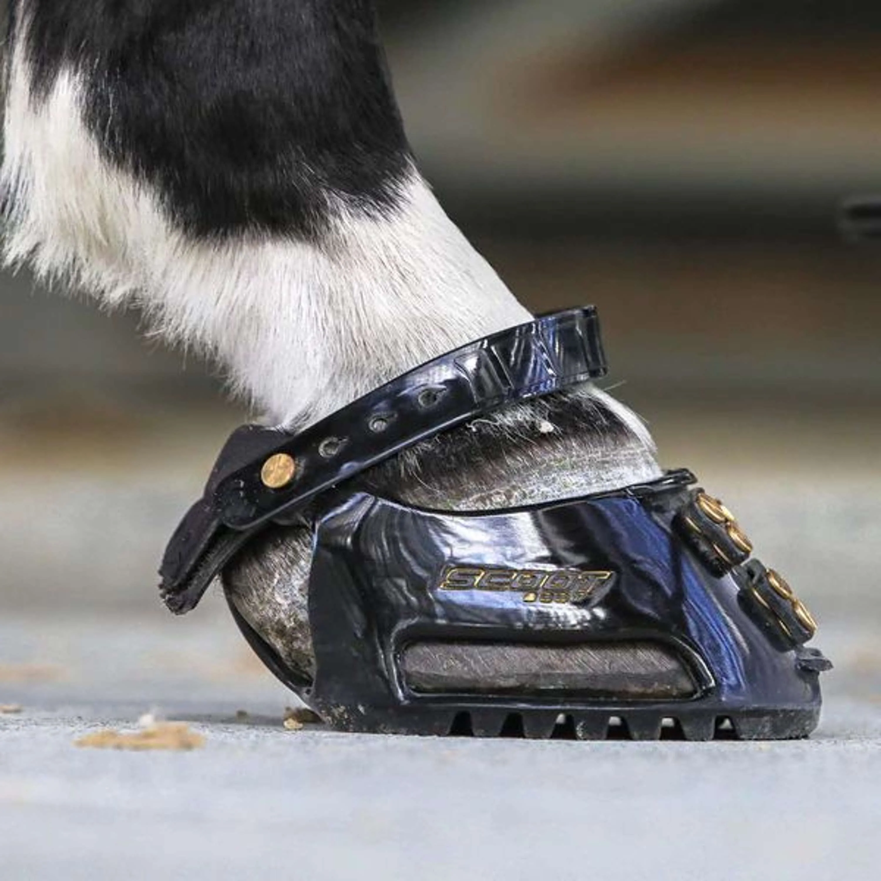 Scoot Boot Hipposandale Slim Single Noir - Image 5