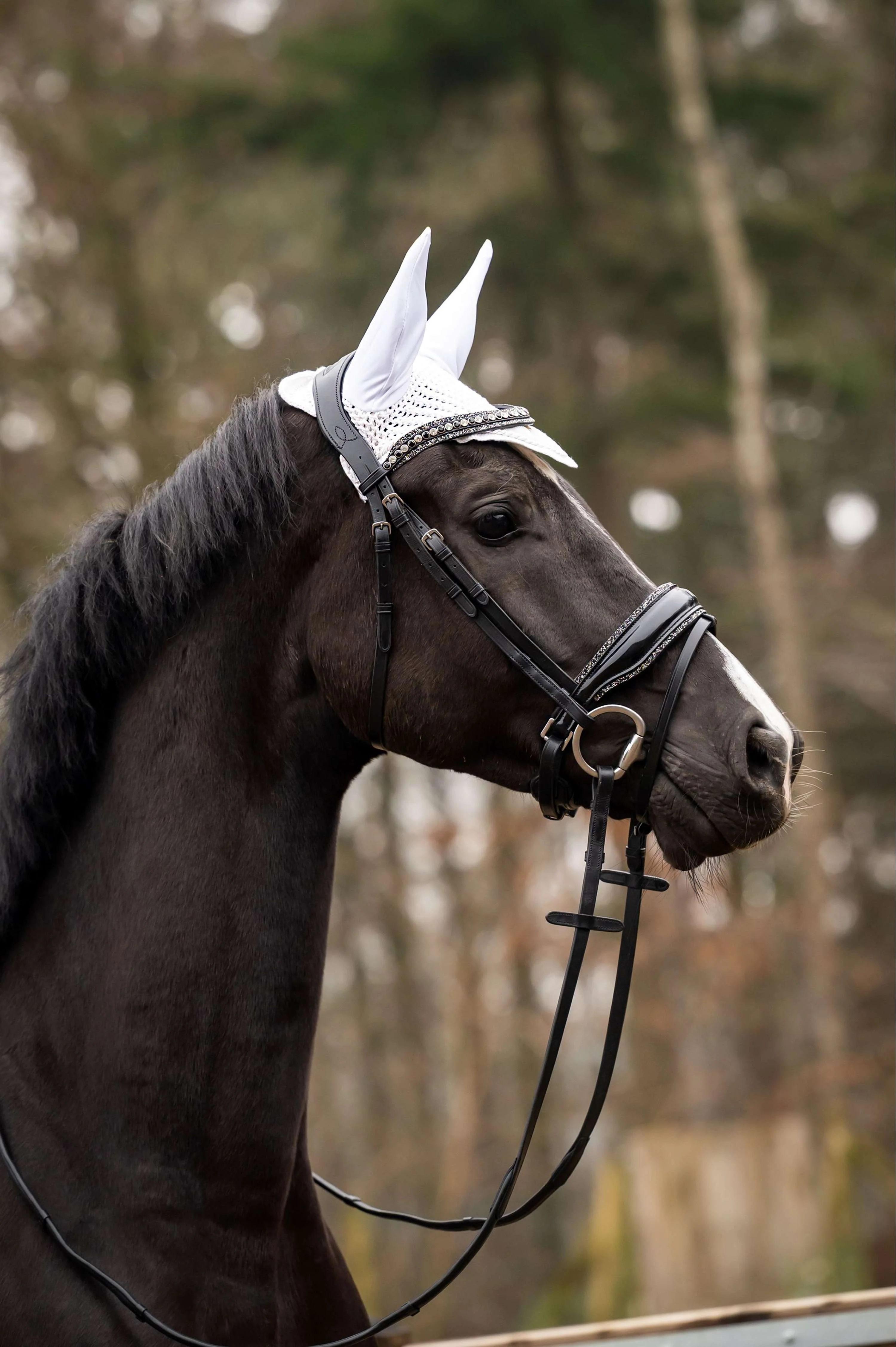 Showtime Bonnet Anti-Mouches Spring Argent
