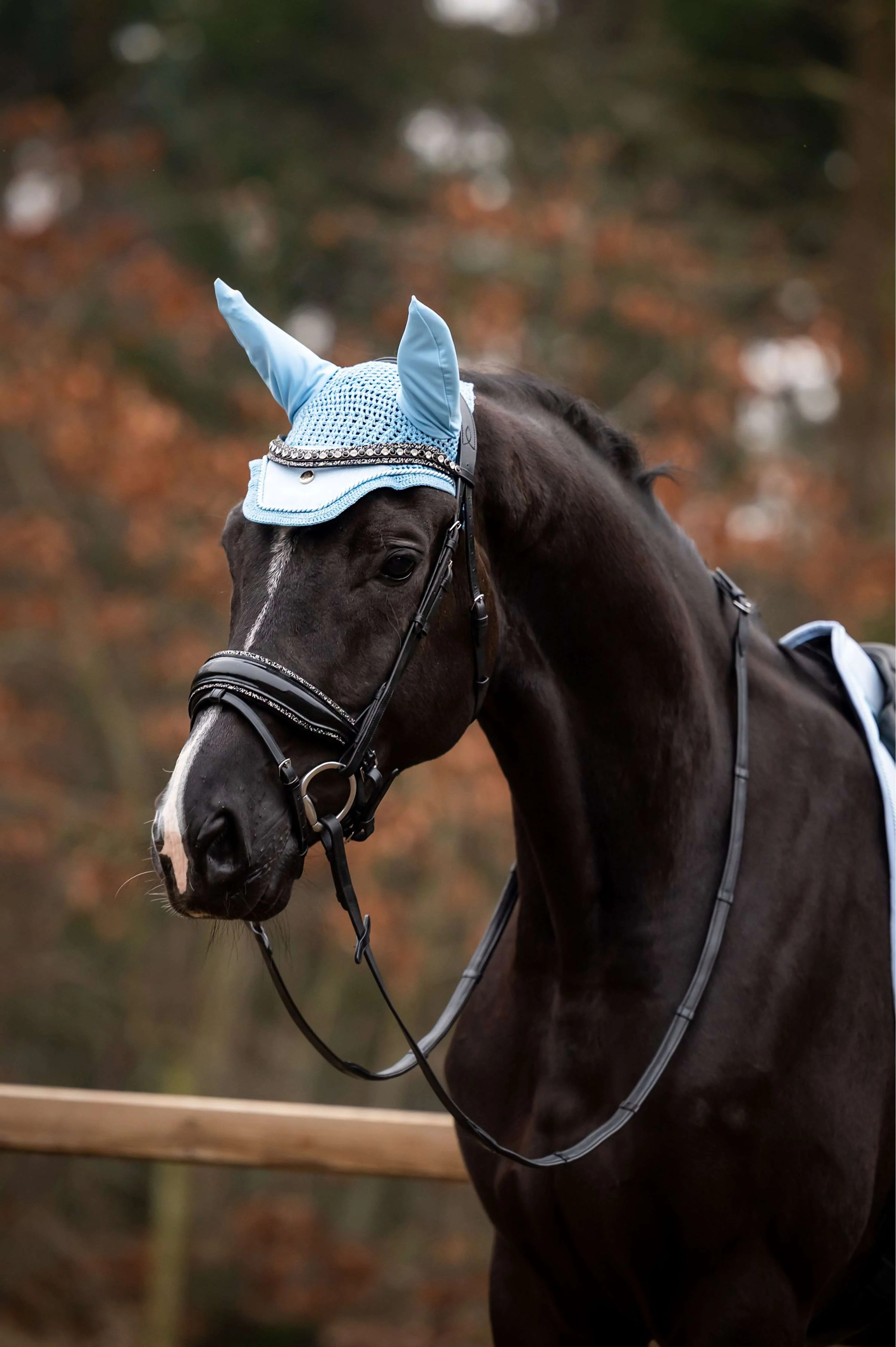 Showtime Bonnet Anti-Mouches Spring Bleu clair