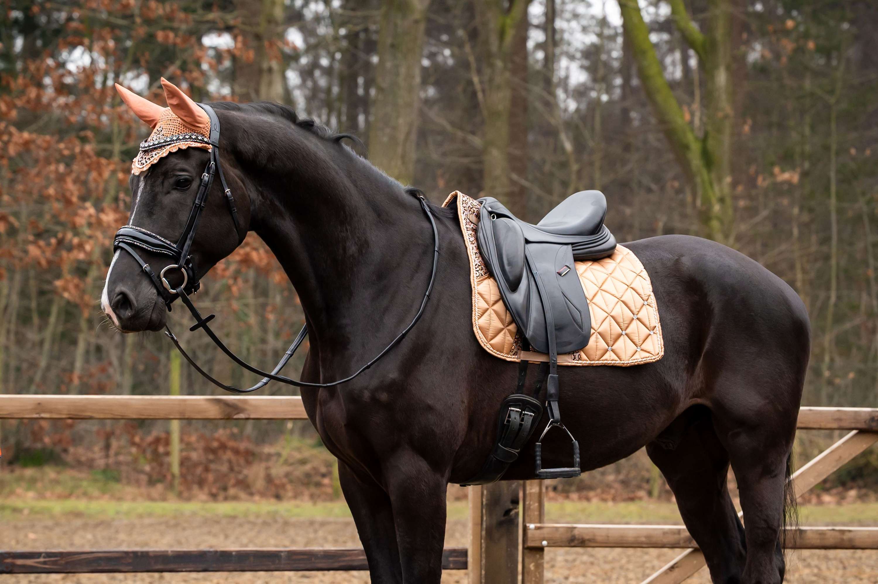 Showtime Tapis de Selle Rio Dressage Beige