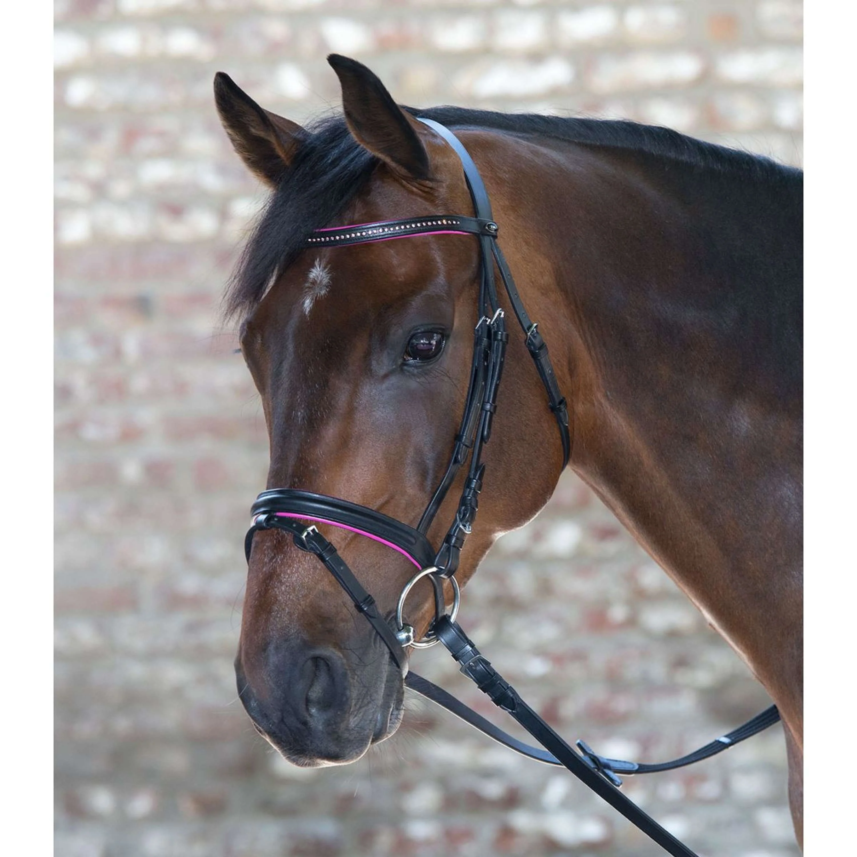 Star Bridon Diamond Anglais Combiné Fuchsia
