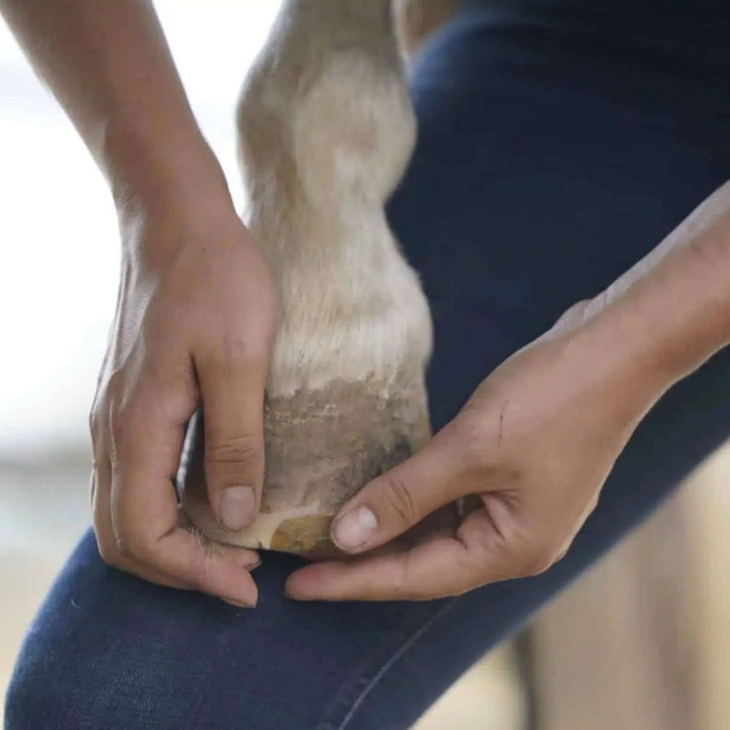 Unique-horn Hoof Wax Repair Jaune - Image 2