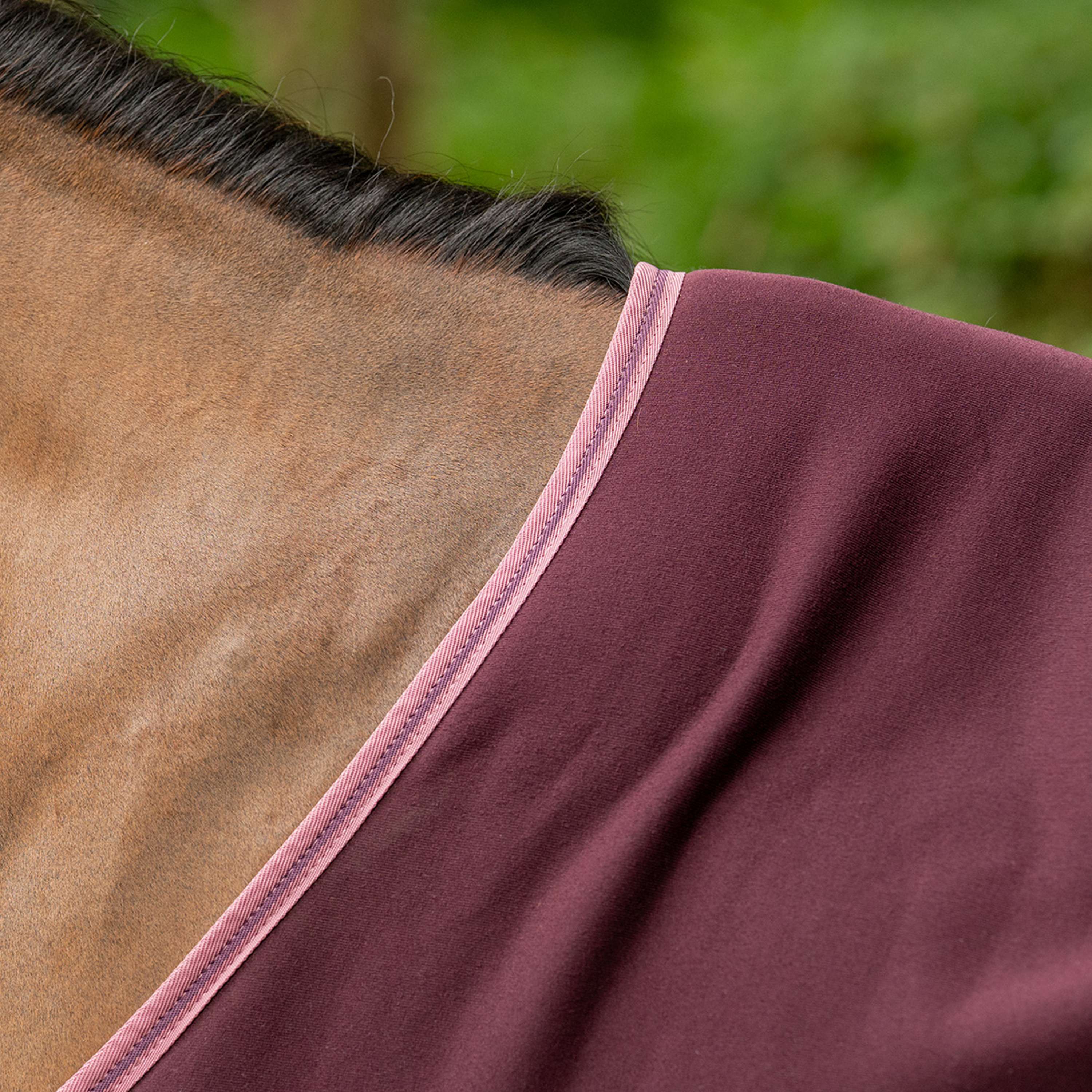 Velder Horsewear Essentials Cooler Rug Plum Brown - Image 5