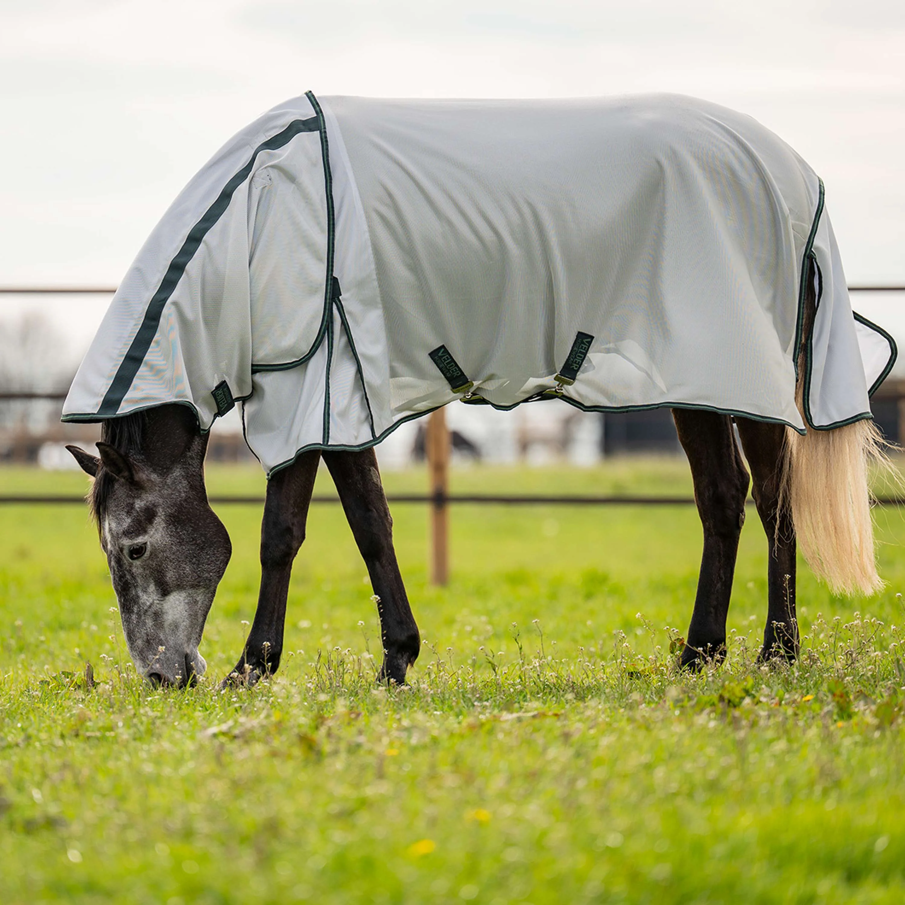 Velder Horsewear Premium Couverture Anti-Mouches Guardian AirMesh Silver Mist - Image 2
