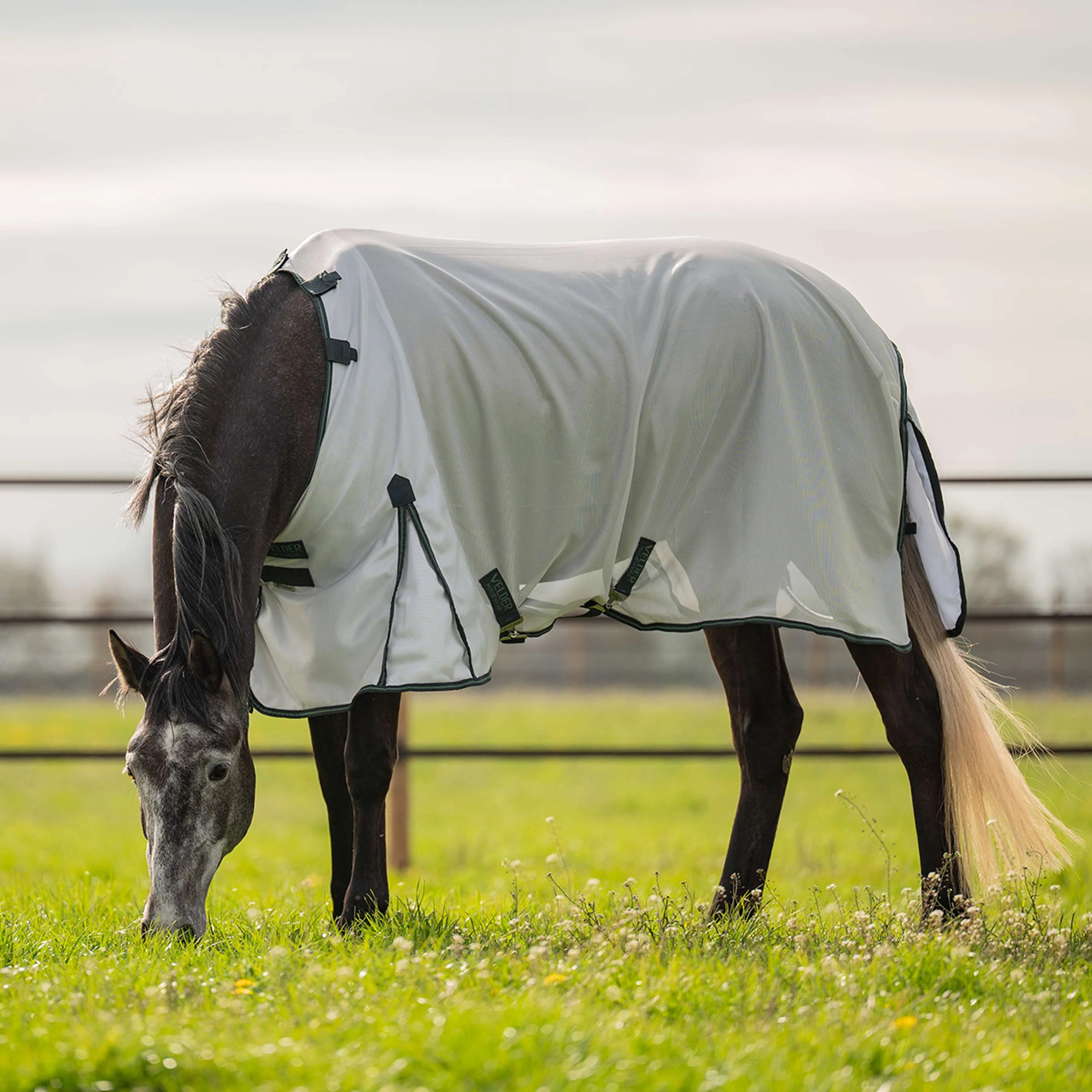 Velder Horsewear Premium Couverture Anti-Mouches Guardian AirMesh Silver Mist - Image 3