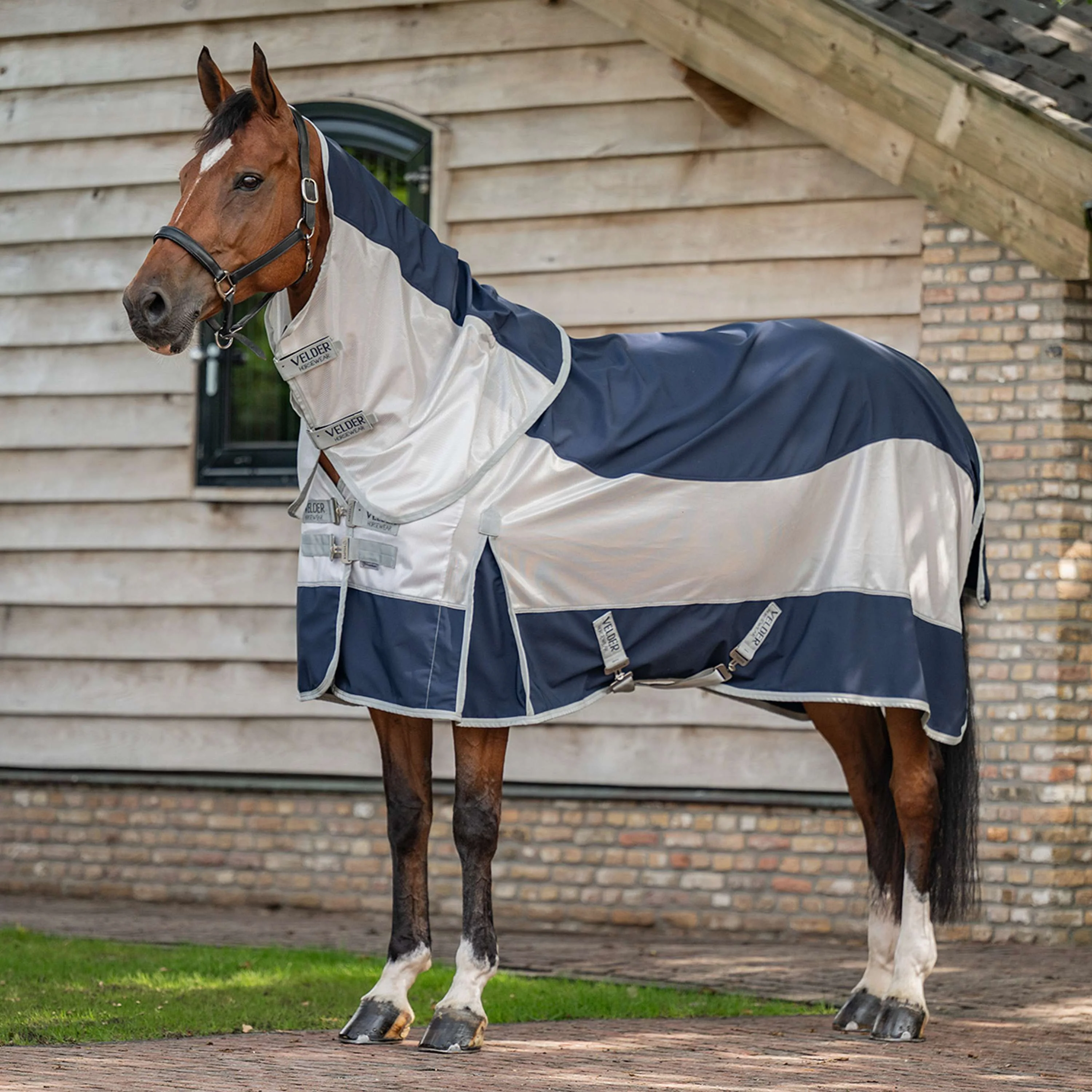 Velder Horsewear Premium Couverture Anti-Mouches Rainless Fall Navy/Pearl Silver - Image 2