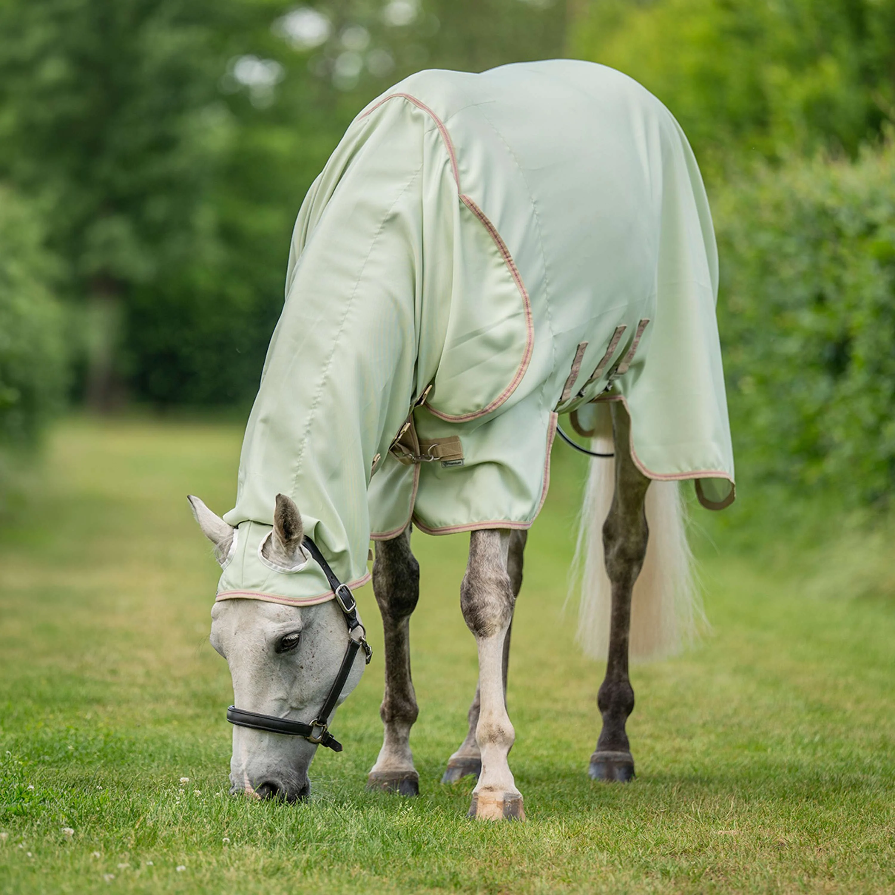 Velder Horsewear Premium Lightweight Sweet Itch Rug Sage Light - Image 16
