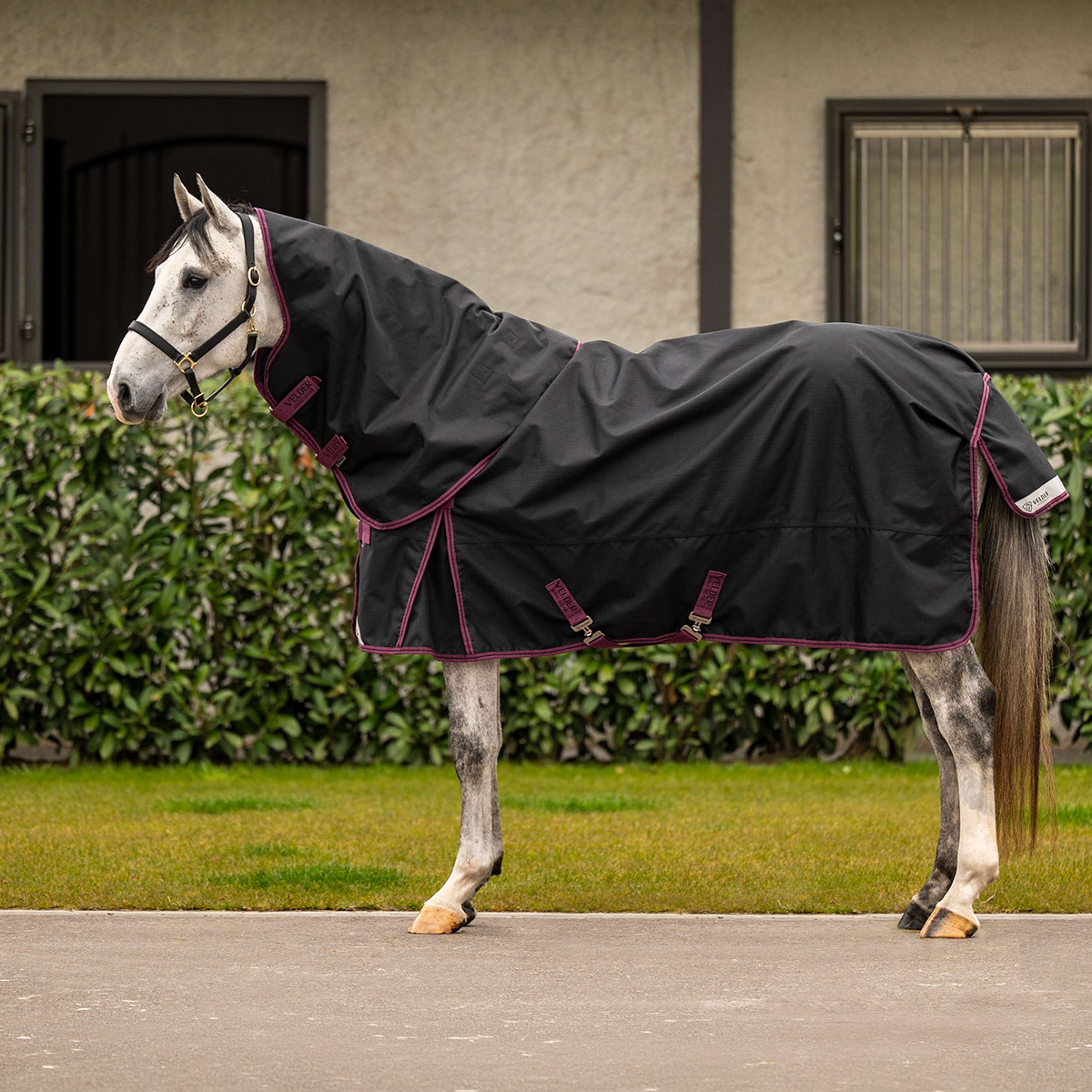 Velder Horsewear Premium Couvre-Cou 1200D 0g Noir - Image 3