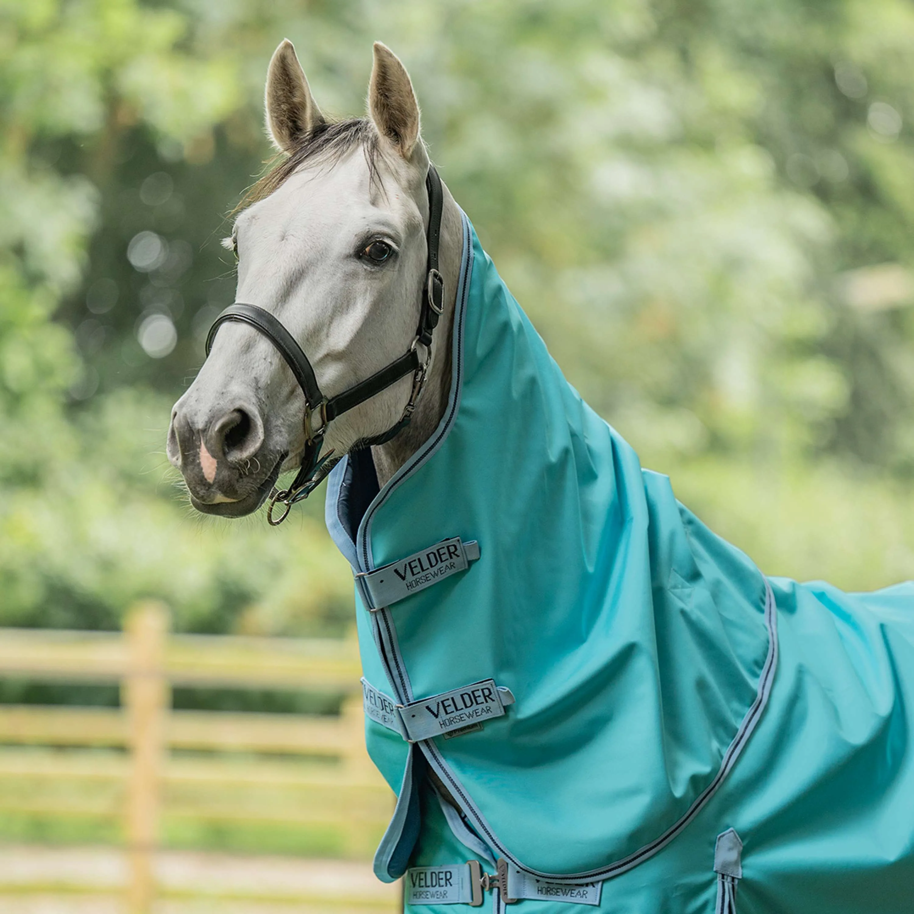 Velder Horsewear Premium Turnout Rug 900D 0g Bleu ciel - Image 12