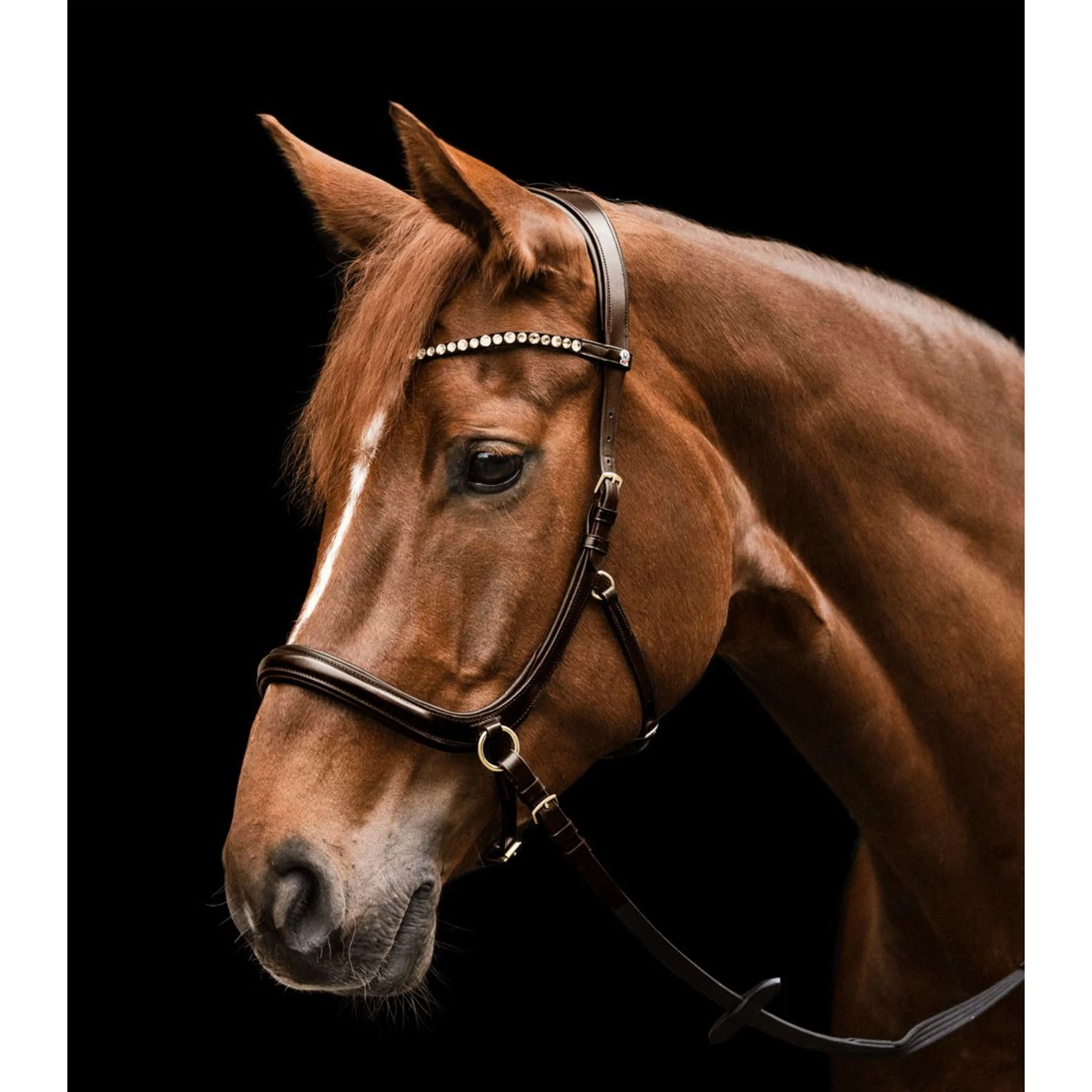 Waldhausen Bridon X-Line Sensation Marron - Image 2