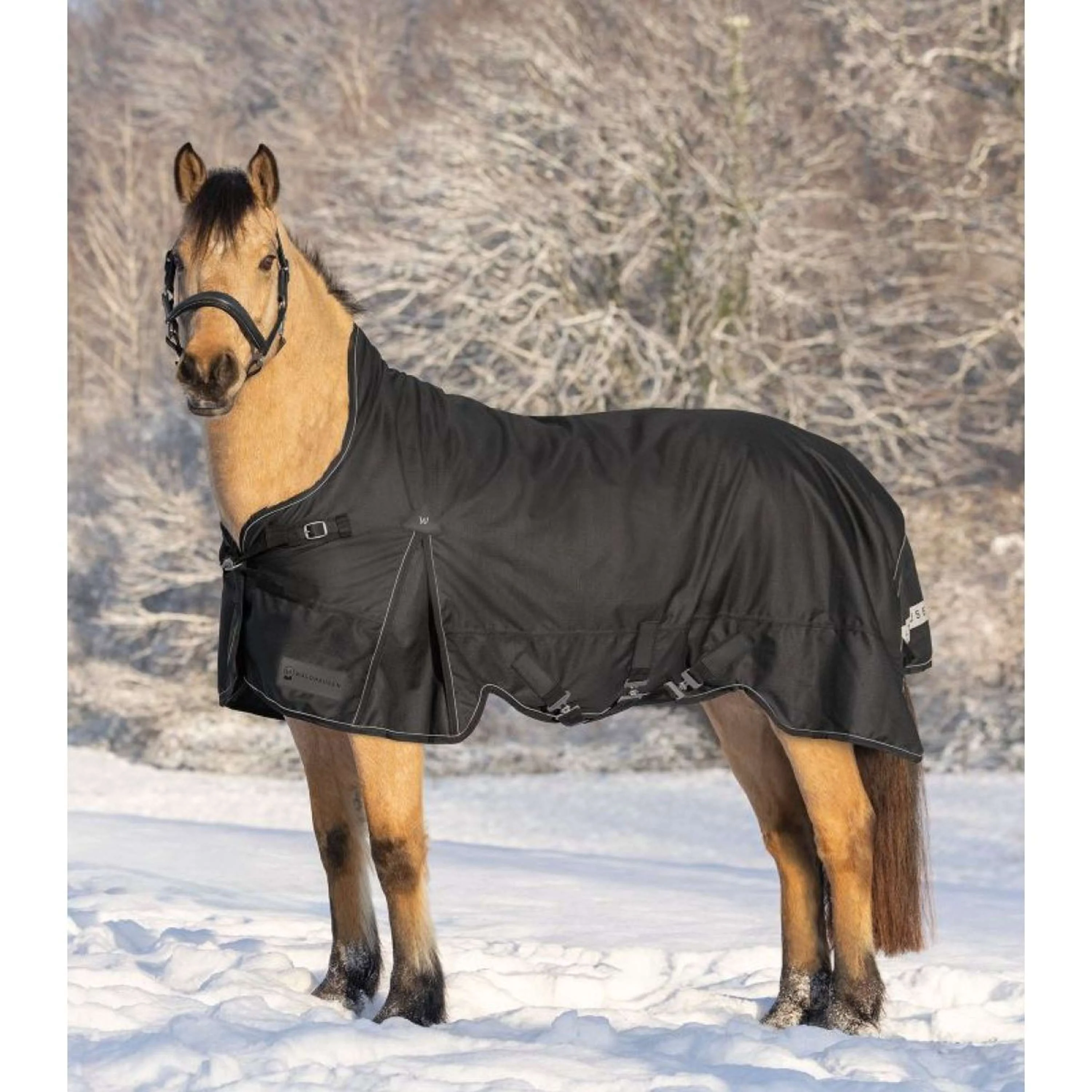 Waldhausen Couverture d'Extérieur Scandic High Neck 200g Noir - Image 2