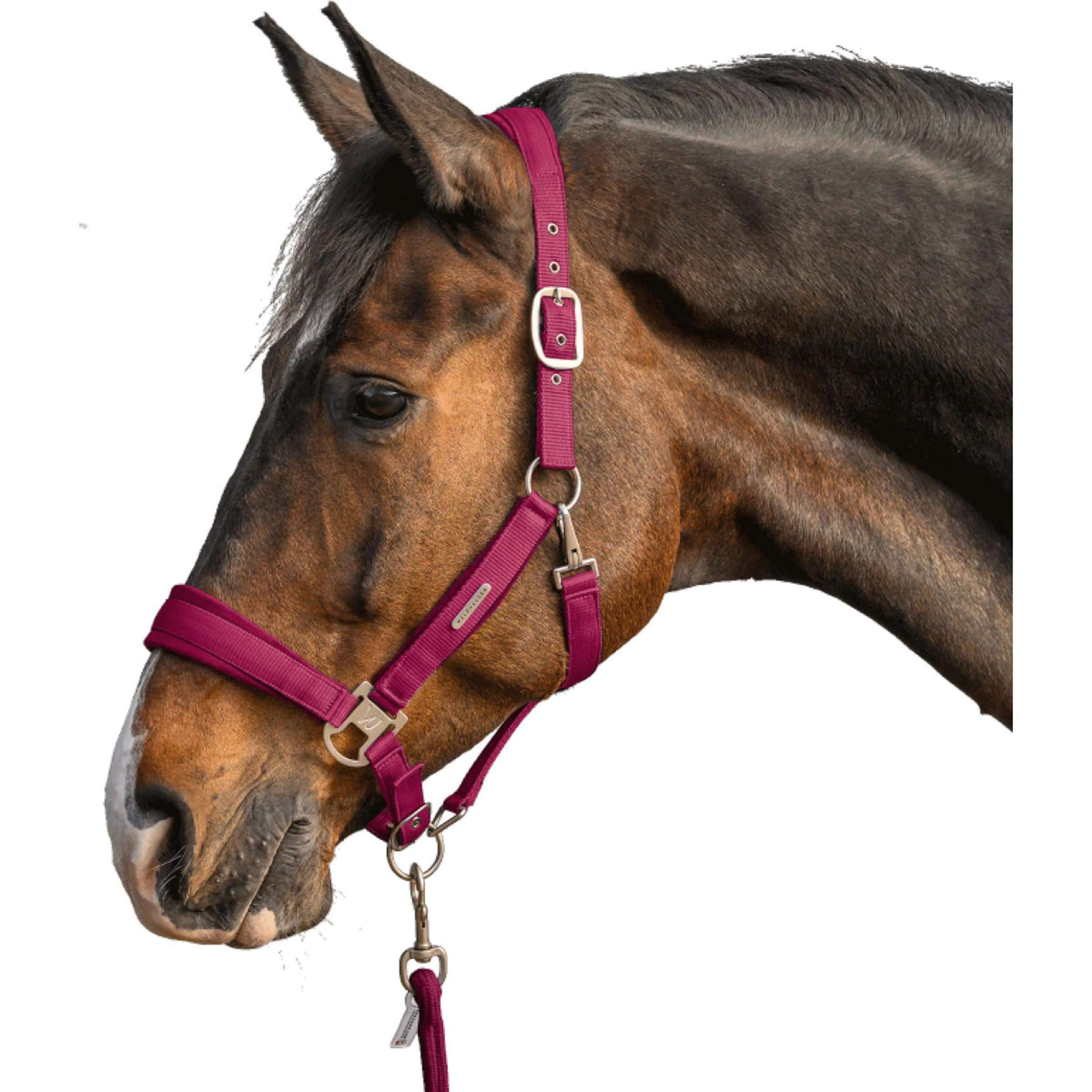 Waldhausen Ensemble Licol Velvet Pomegranate - Image 5